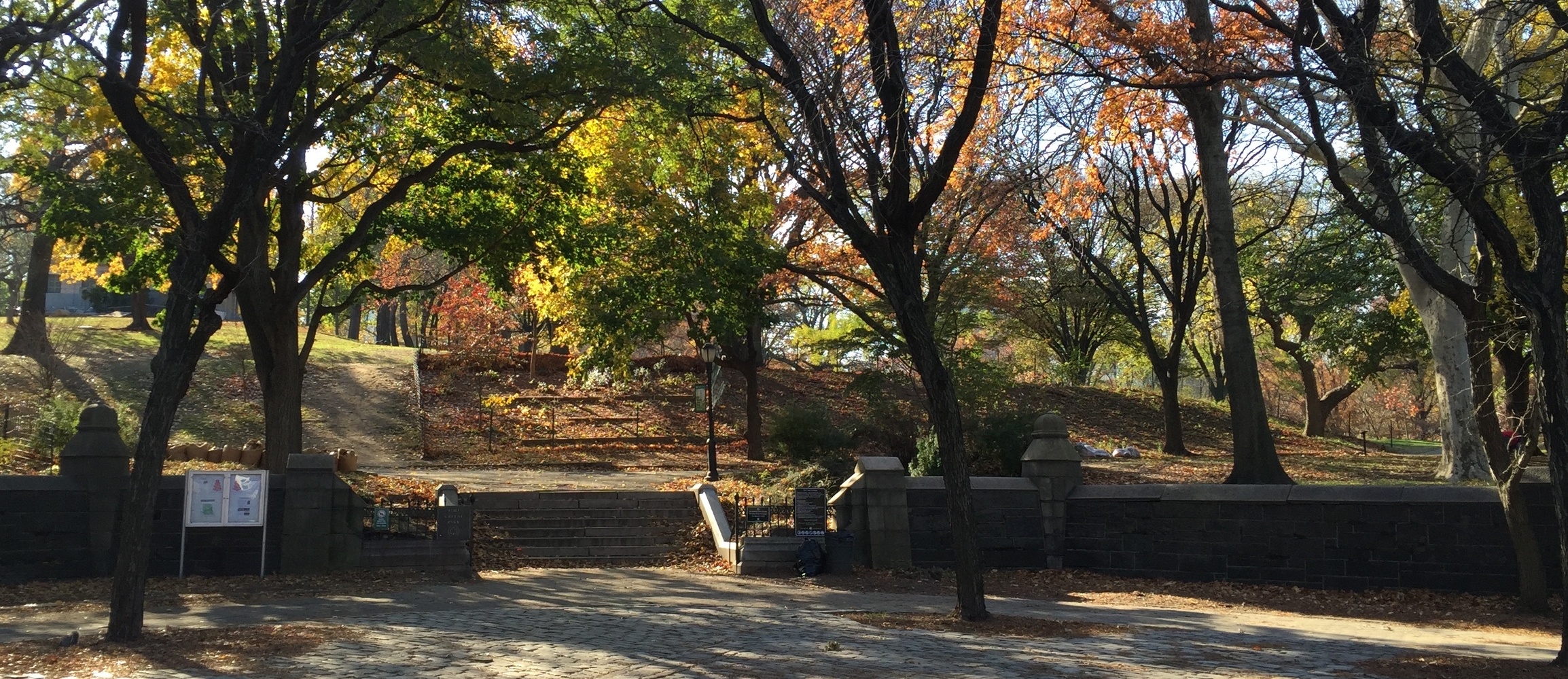 The Myrtle Avenue Entrance Plaza, prime candidate for the Parks Without Borders treatment. 