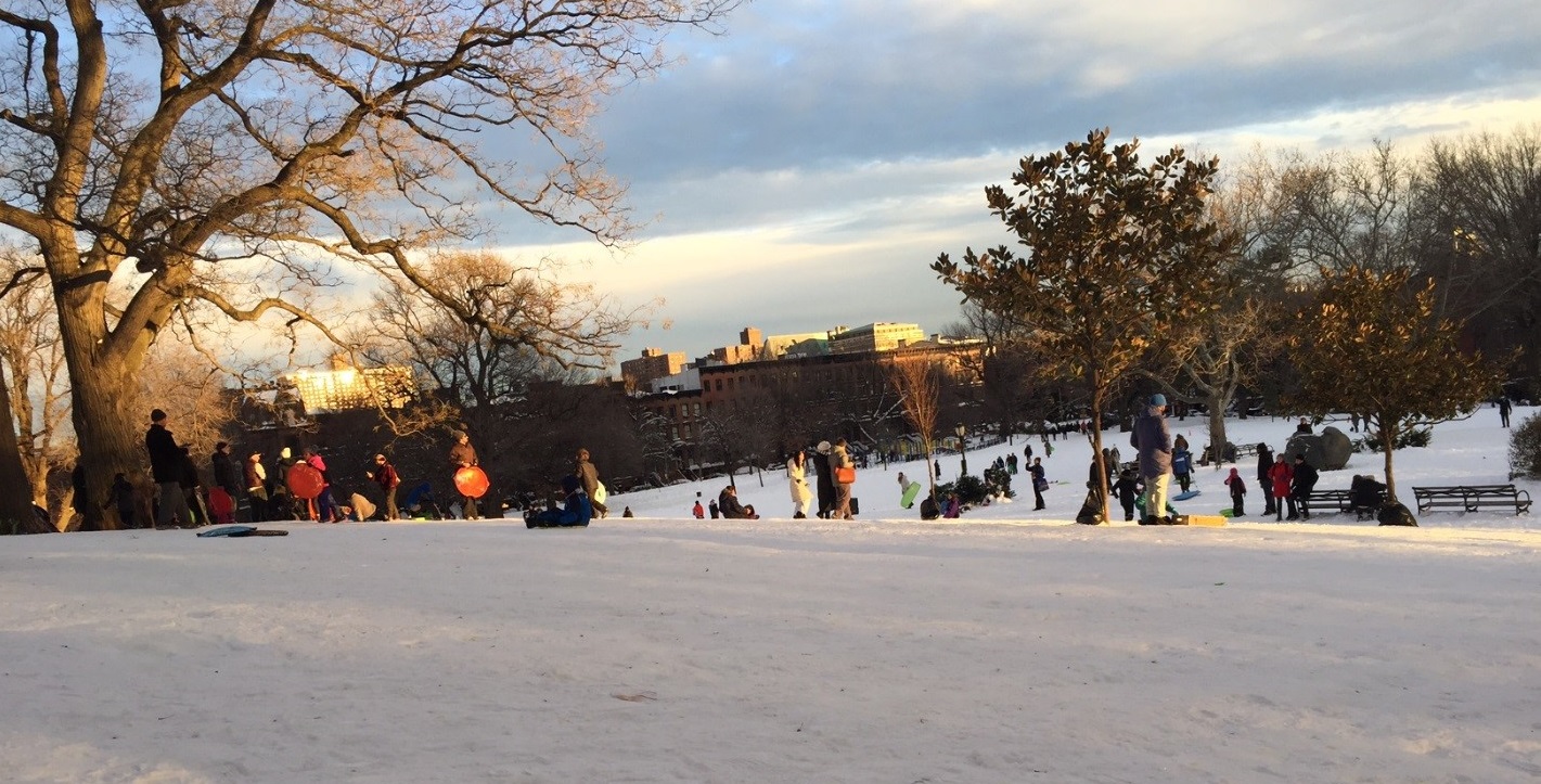 Sledders on the hill north of the tennis courts on January 24, 2016. 