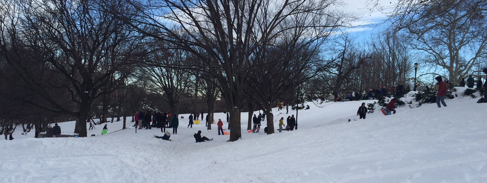 Sledders gathered on the snow-covered Monument steps.