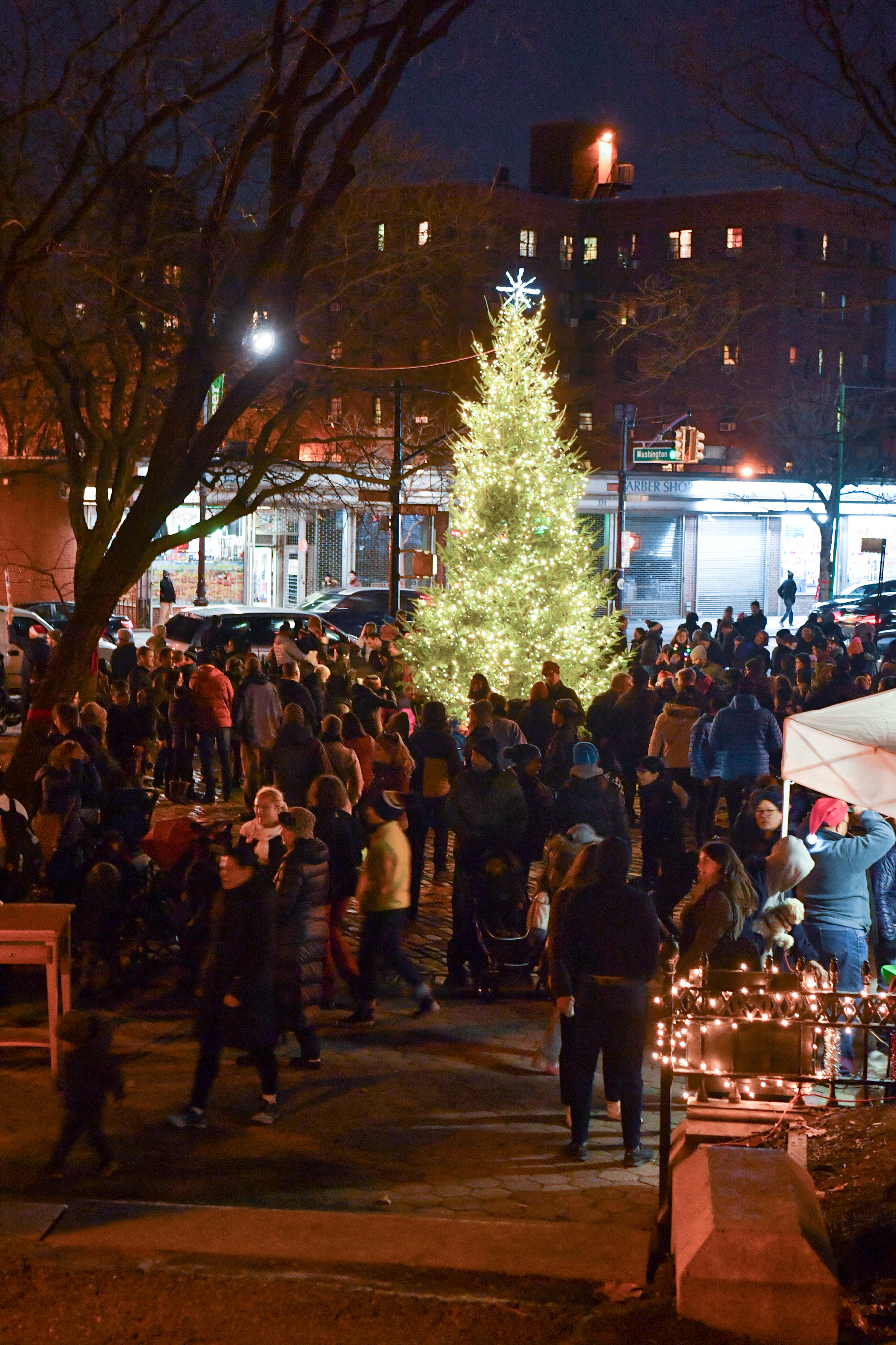 3rd Annual Fort Greene Park Tree Lighting presented by the Fort Greene Park Conservancy and Myrtle Avenue Brooklyn Partnership, sponsored by Apple Bank. photo credit: Daniel Avila, NYC Parks