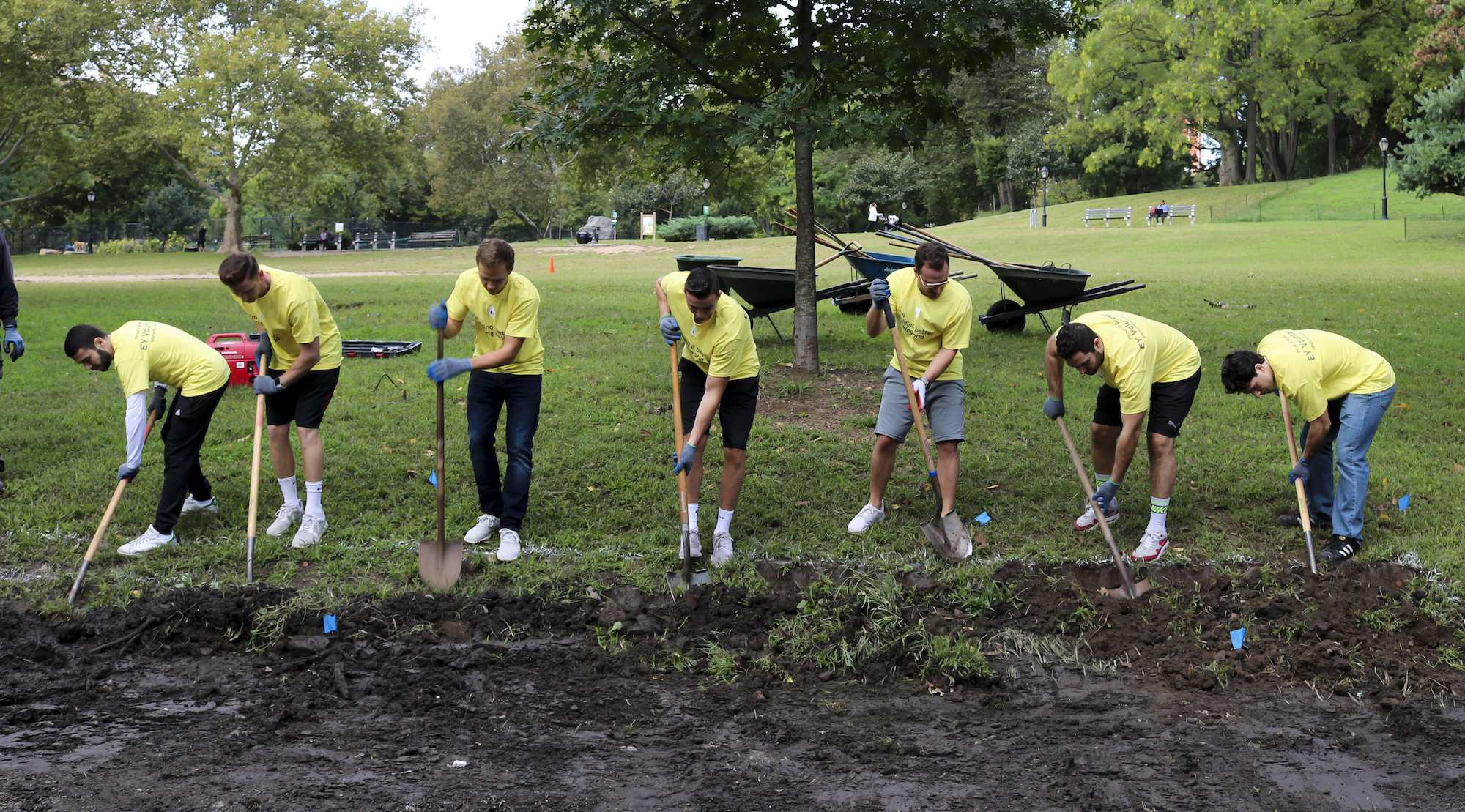EY Volunteers helping on an erosion project along the Washington Park paths.