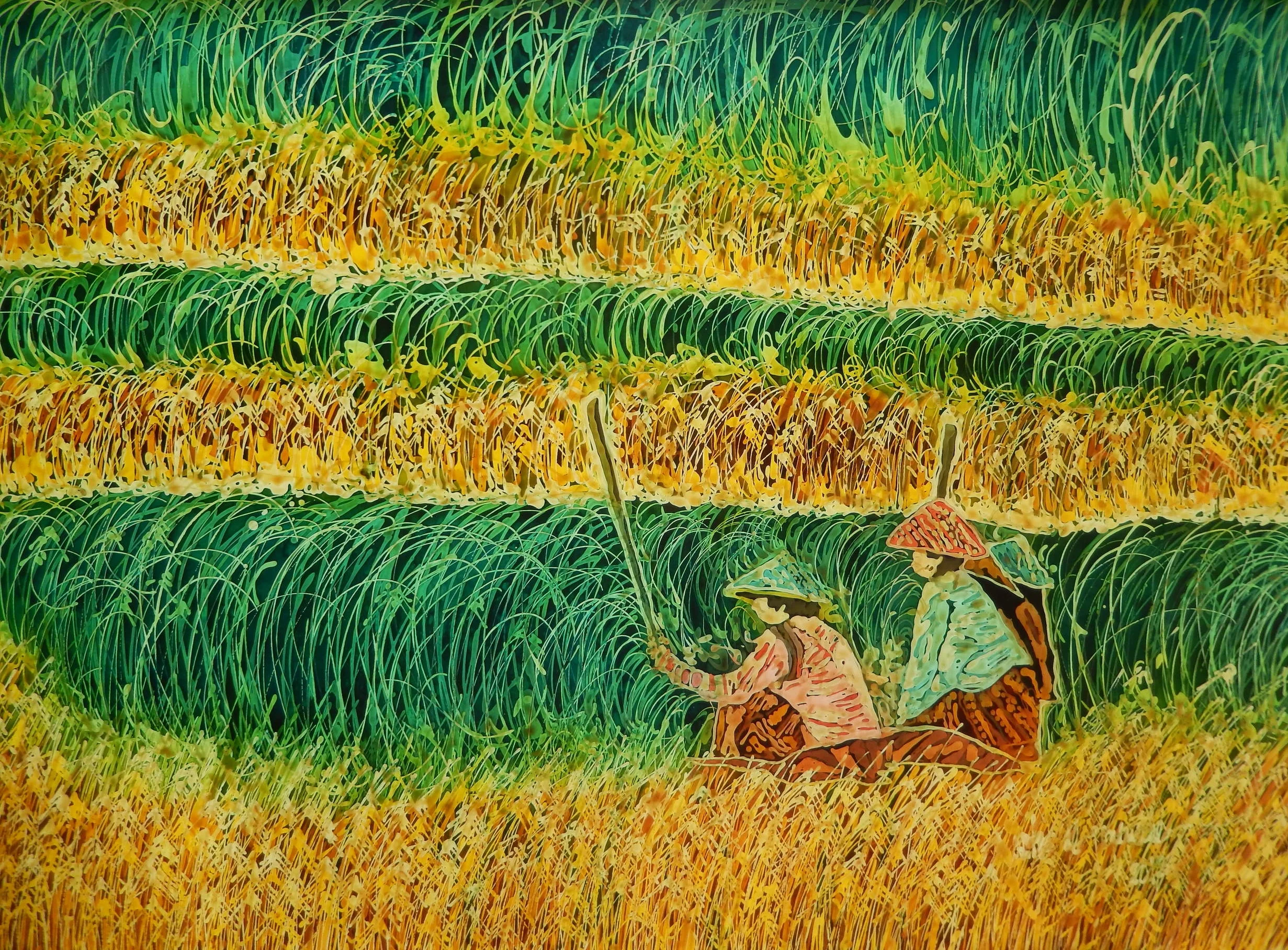 Ricefields (Bali) 2010