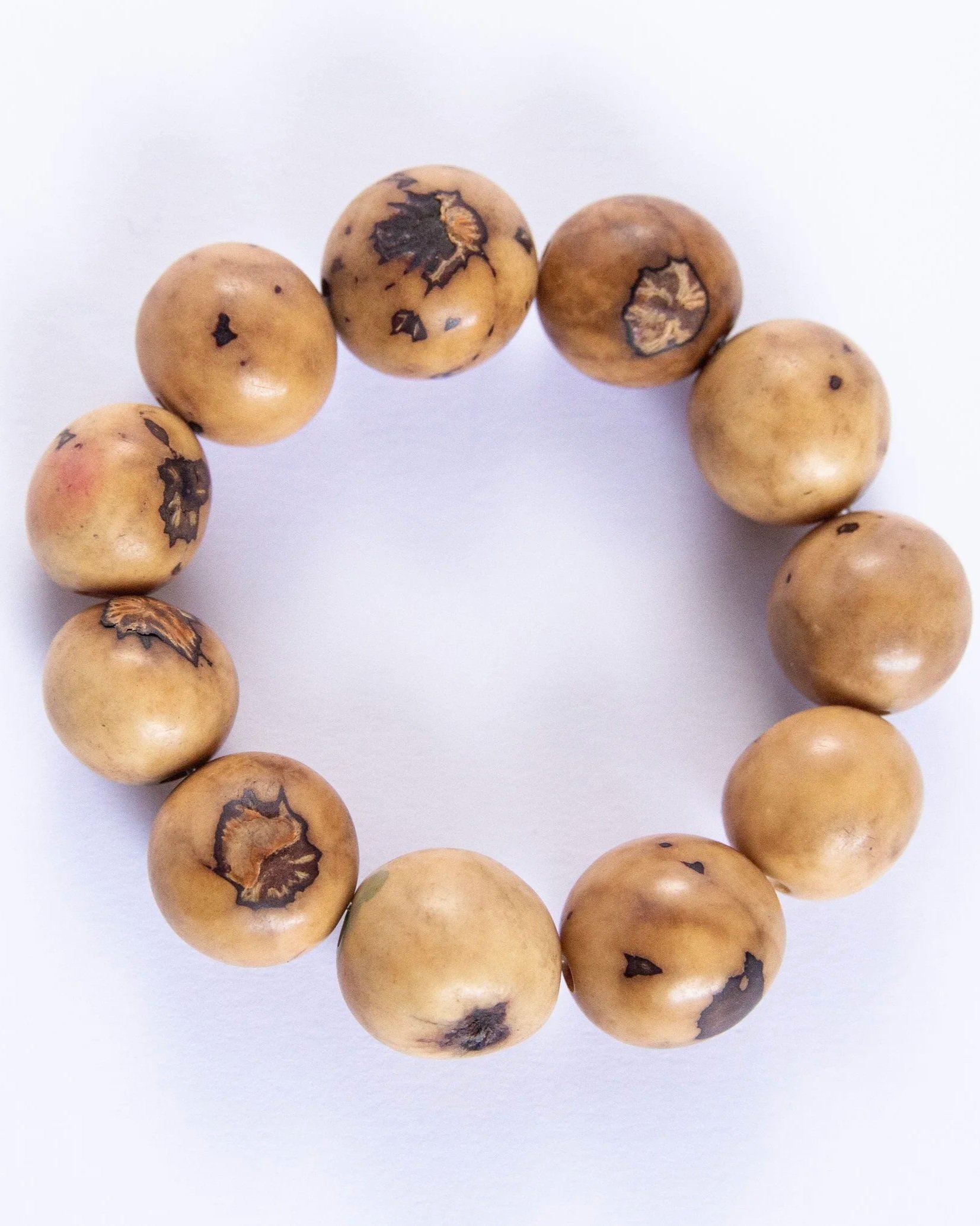 tagua+6.jpg