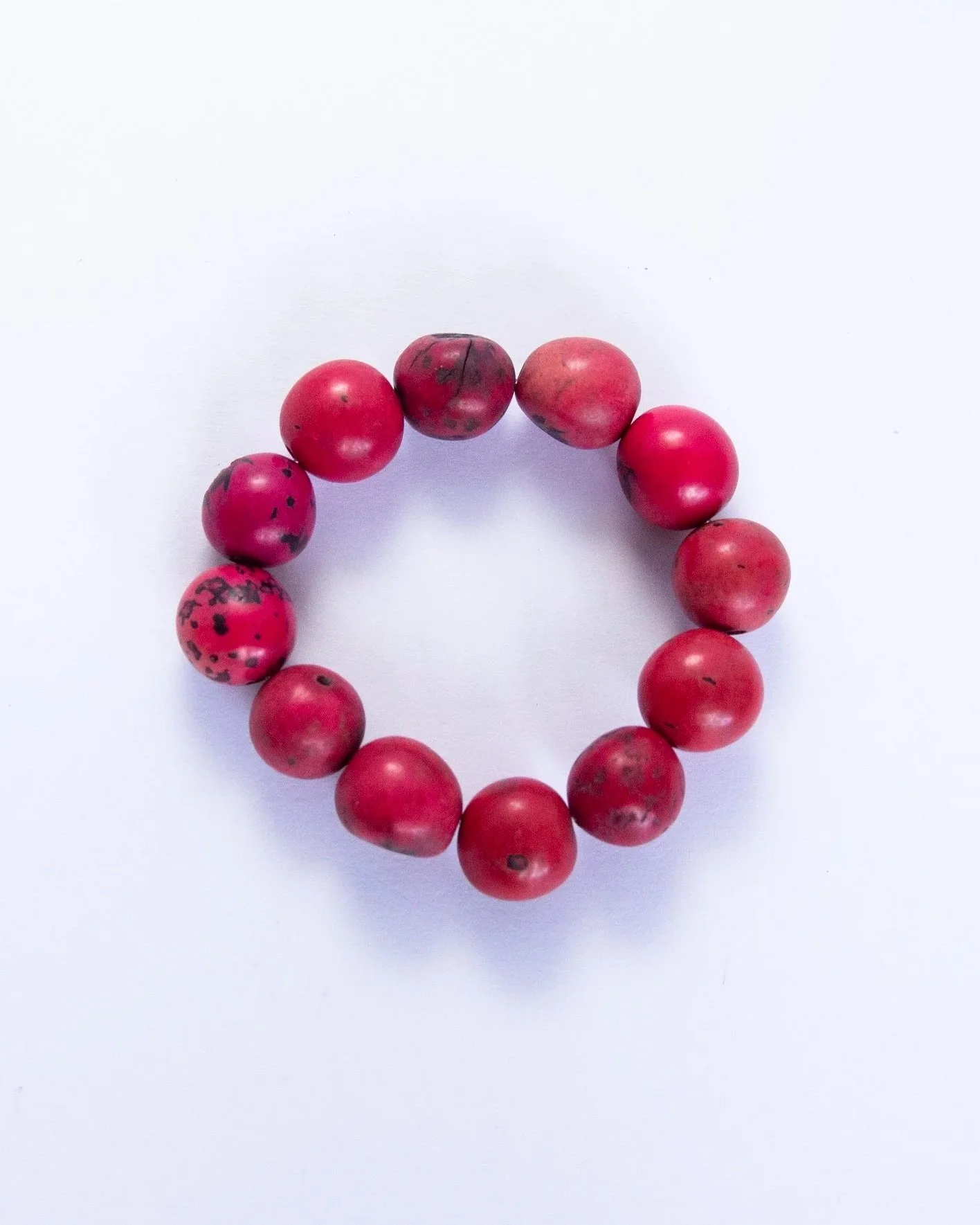 tagua+12.jpg