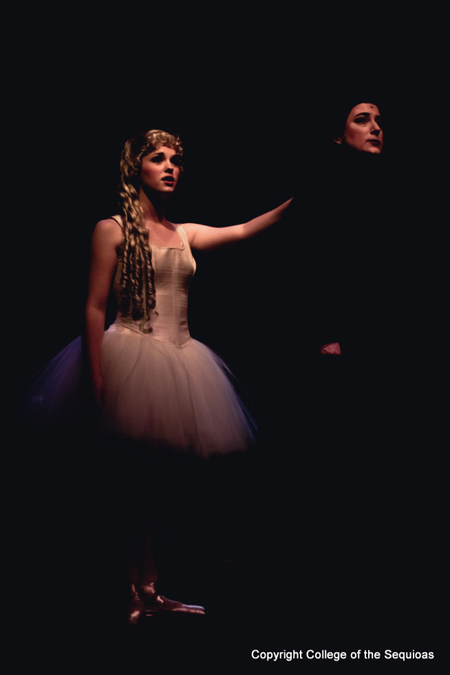  Elizabeth Sassman Photography 