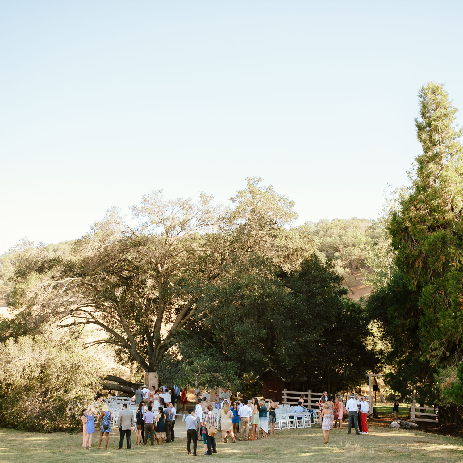 Napa Valley Vacaville Wedding Photographer - Hannah & Stephen - The Gathering Season x weareleoandkat 031.jpg