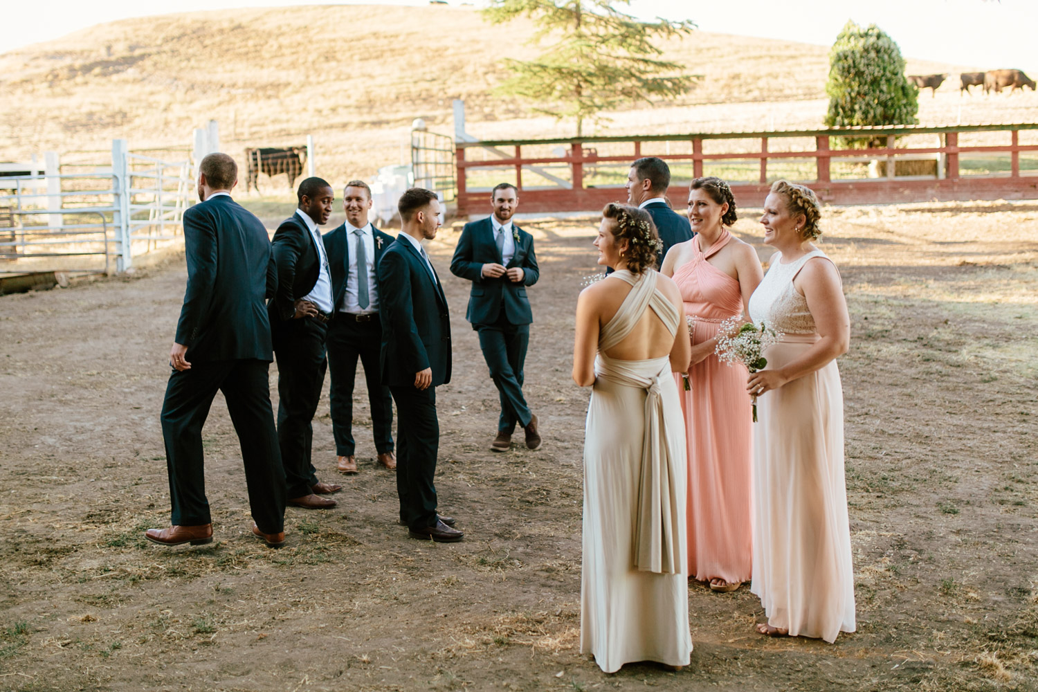 Napa Valley Vacaville Wedding Photographer - Hannah & Stephen - The Gathering Season x weareleoandkat 055.jpg