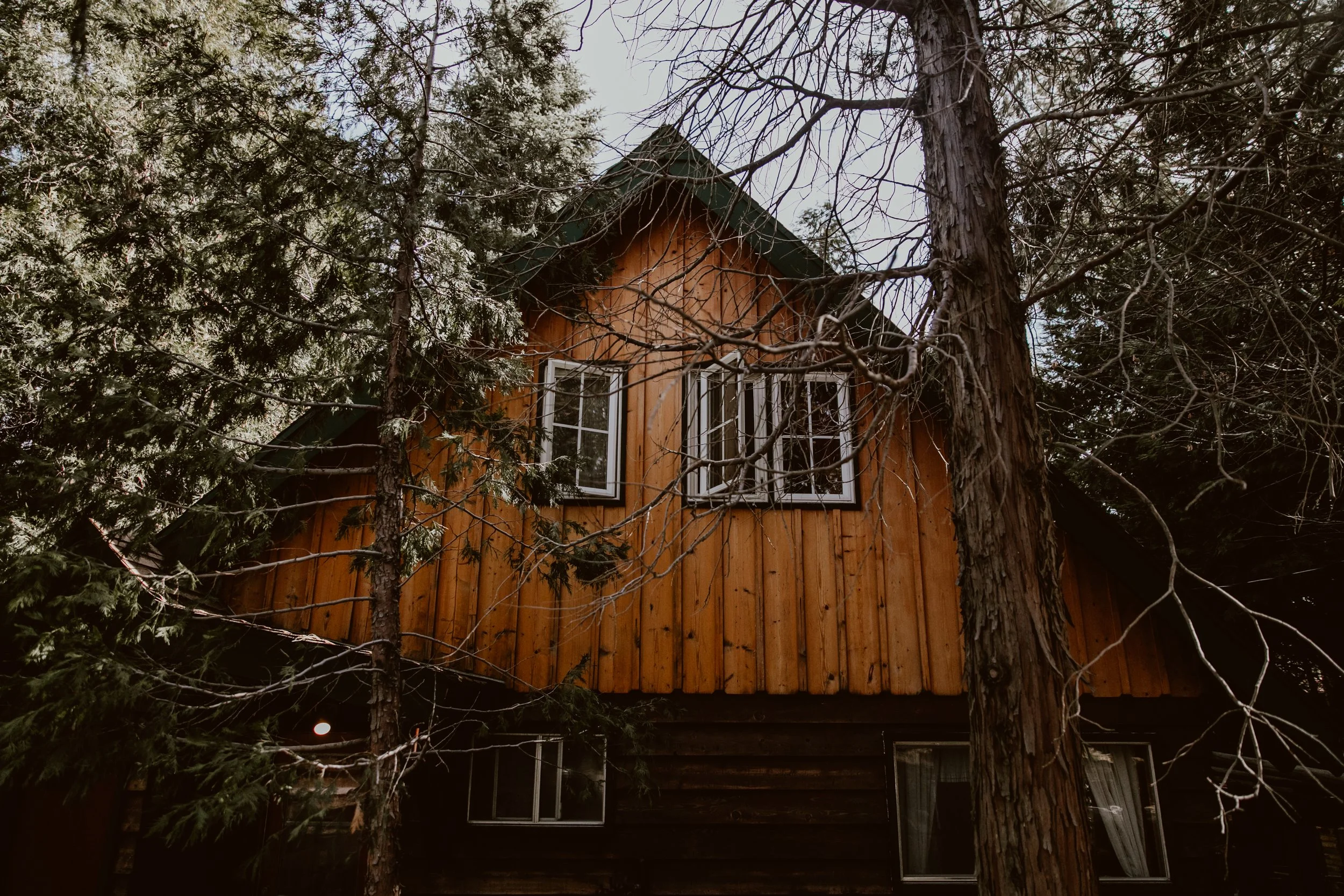Twin Peaks Outside Cabin Elopement Micro Wedding. jpg.jpg