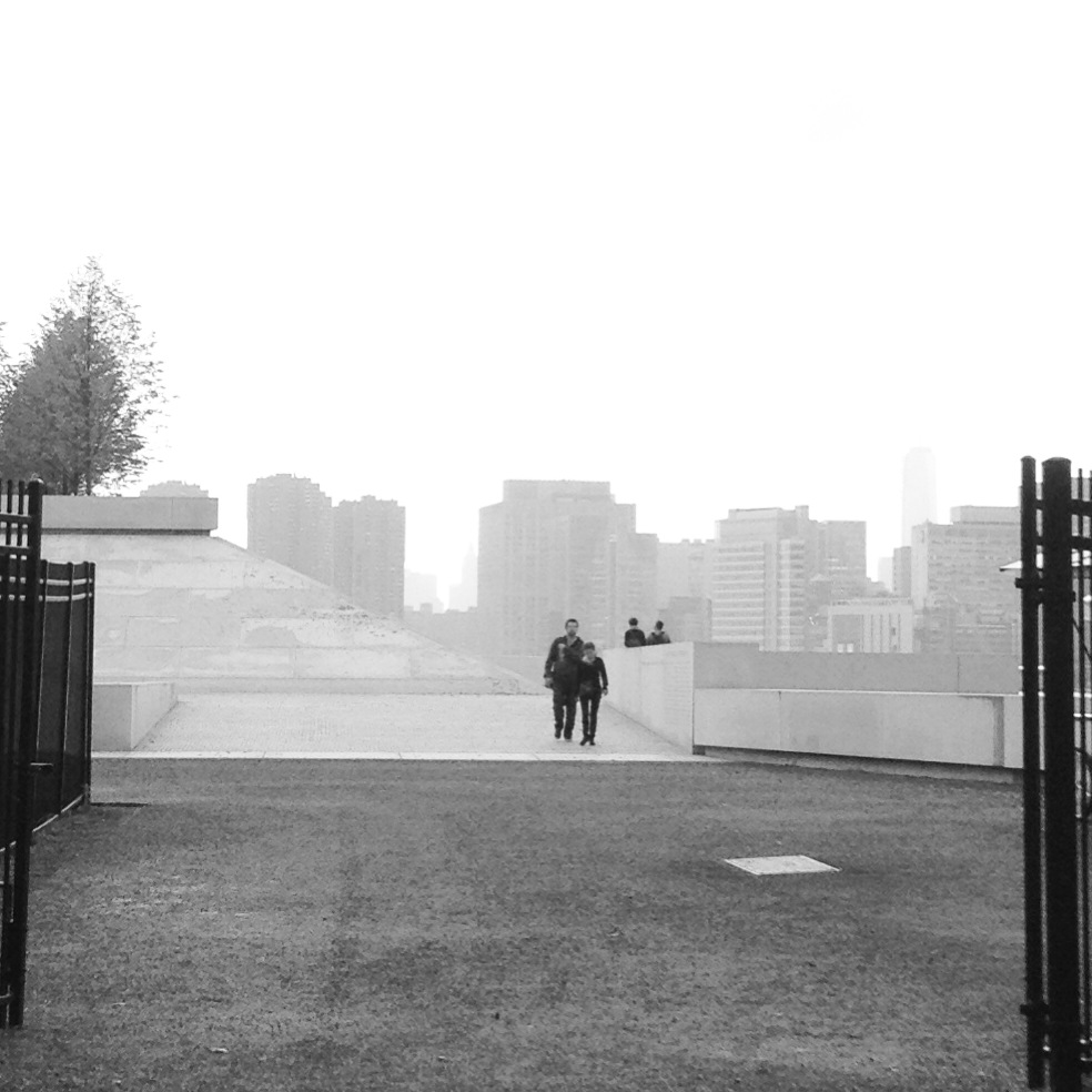 black was still grey: roosevelt island