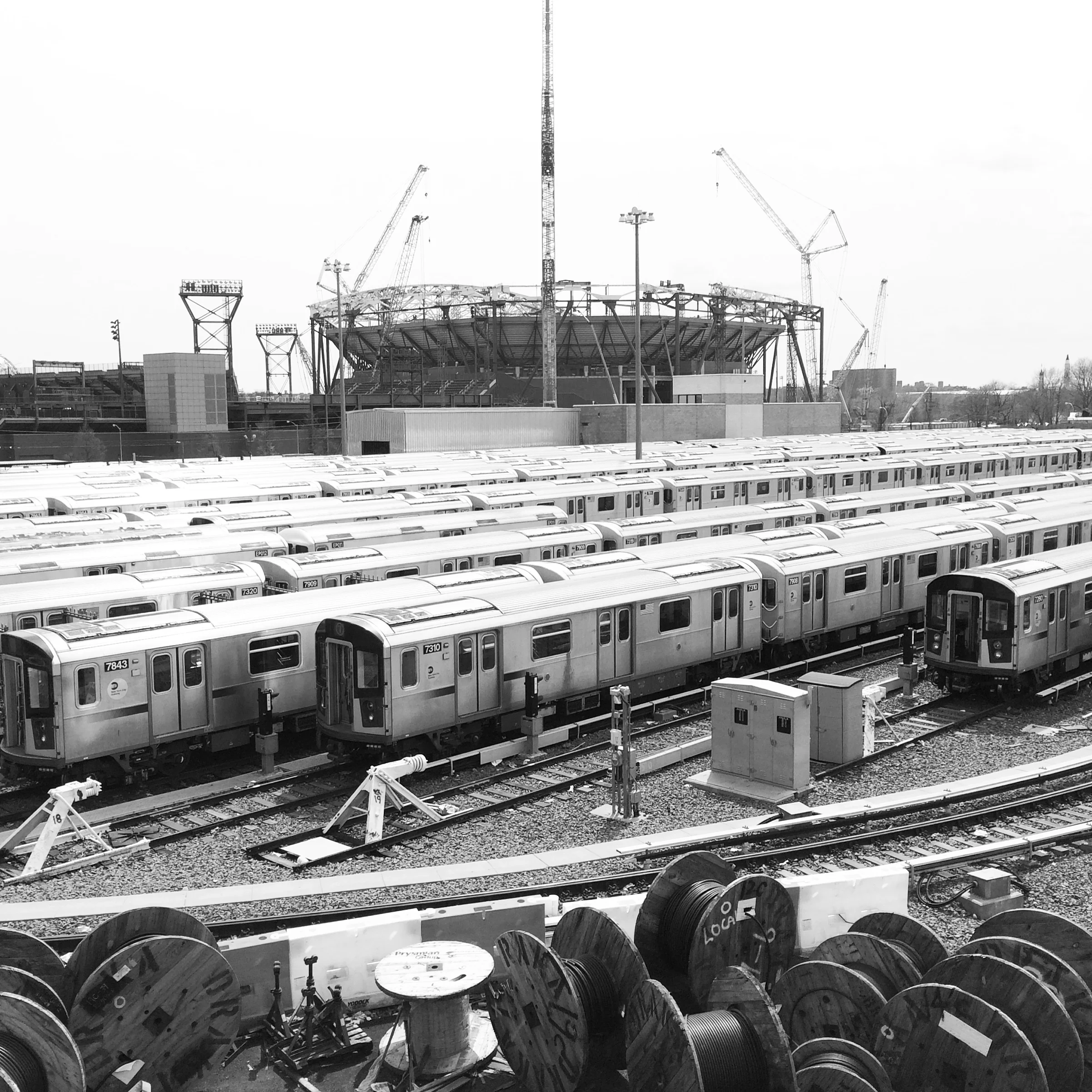 cranes on ashe: flushing meadows
