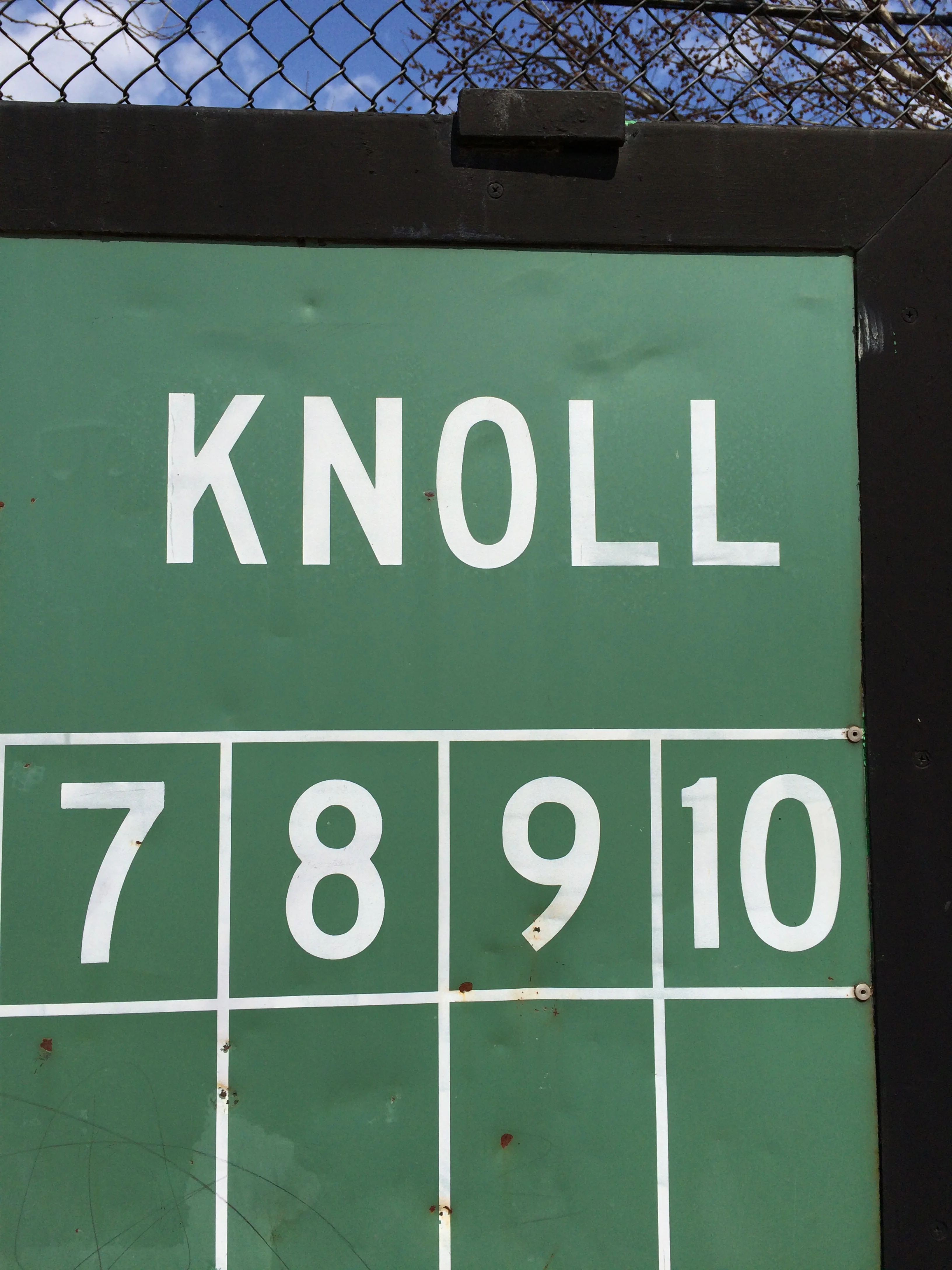 grassy knoll: bushwick
