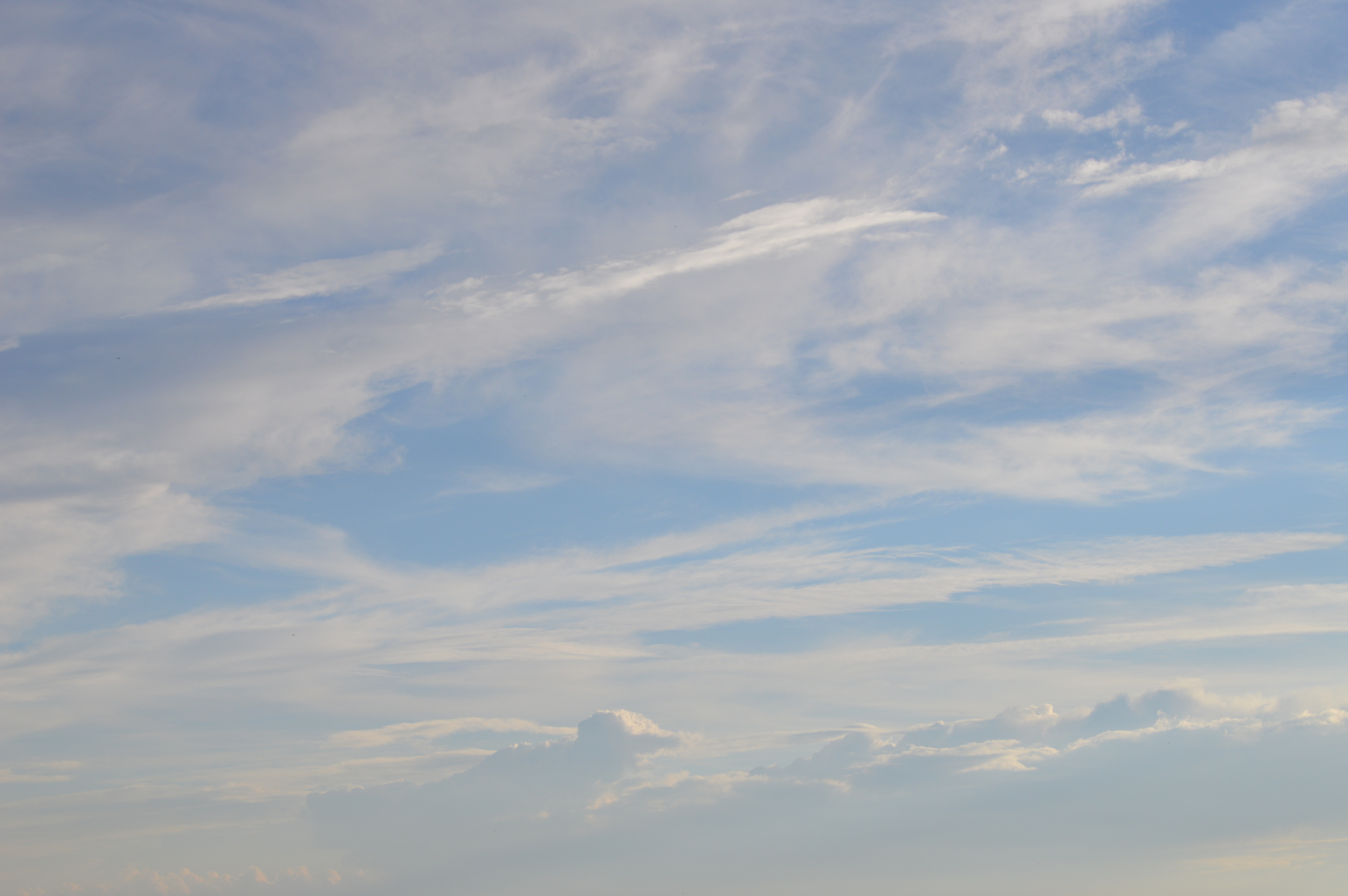 DSC_0060.JPG