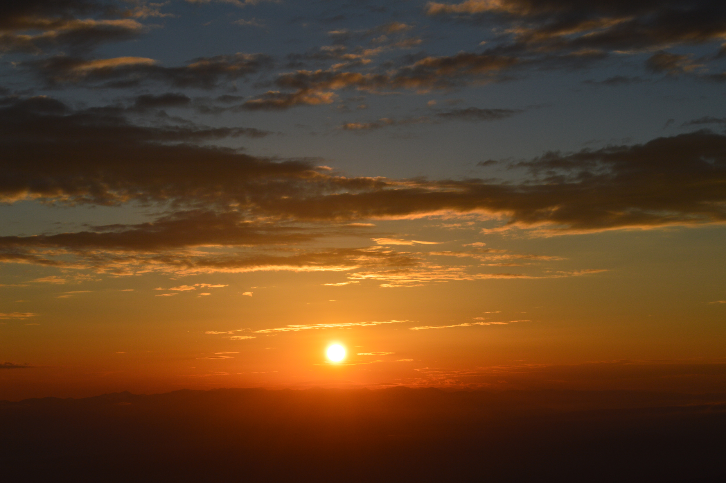 DSC_0185.JPG