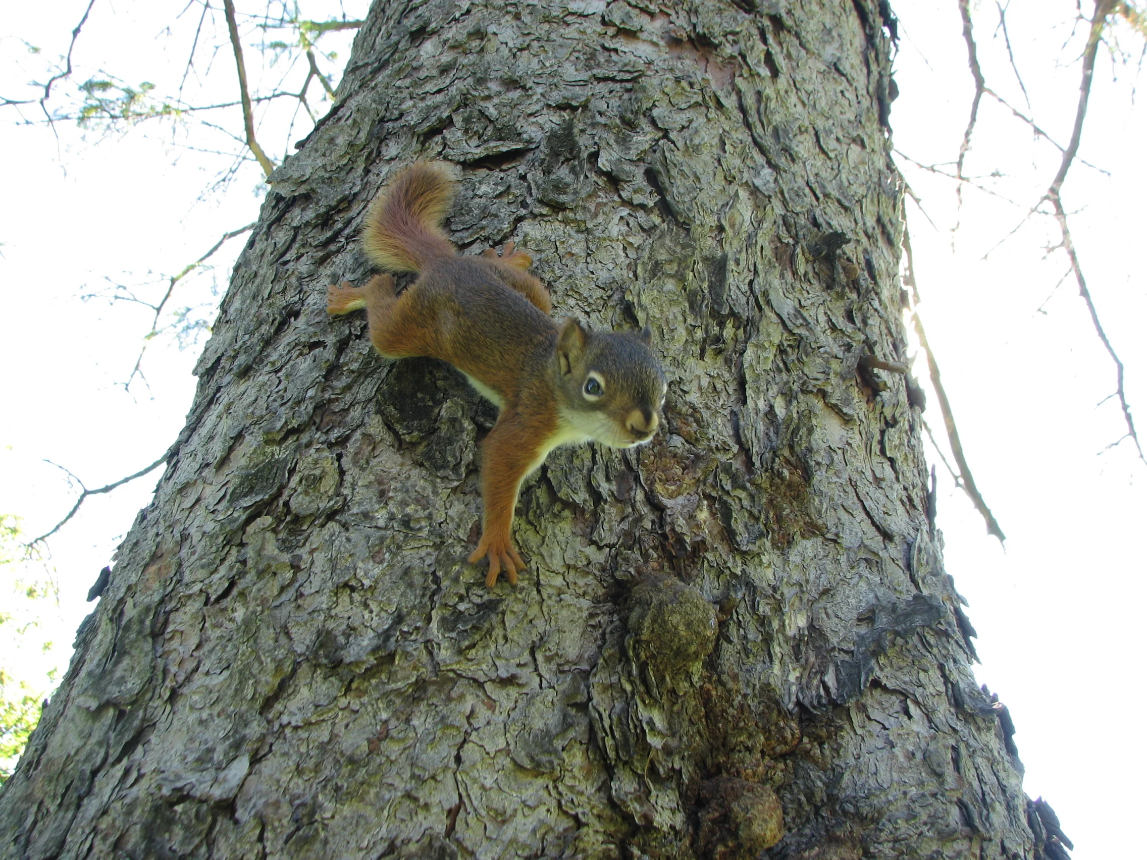 IMG_4477.JPG