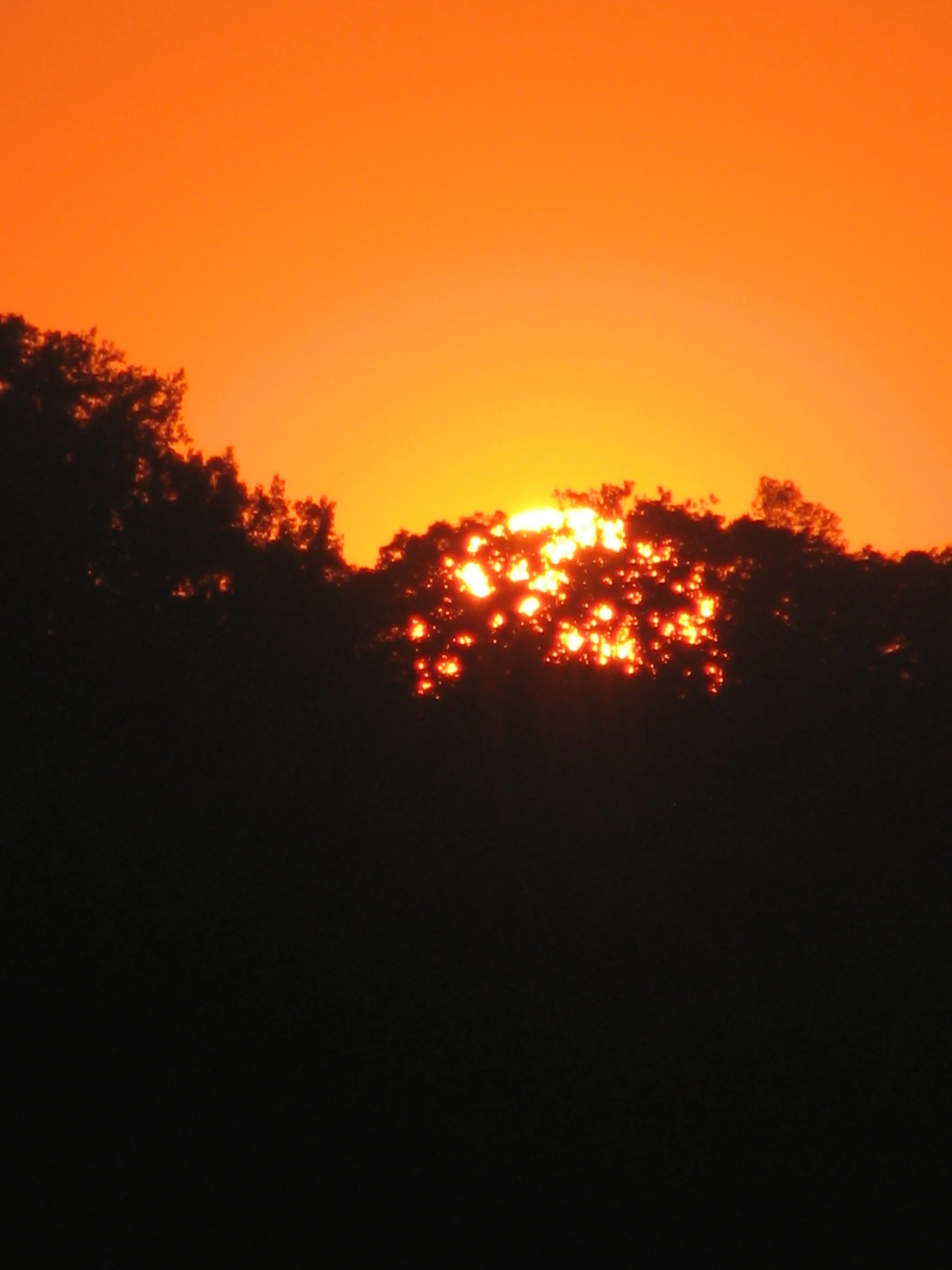 super sun set 029.JPG