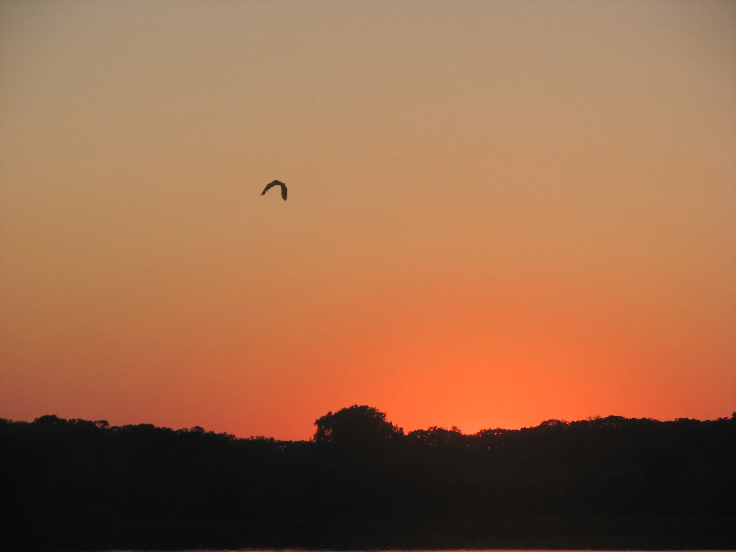 super sun set 040.JPG