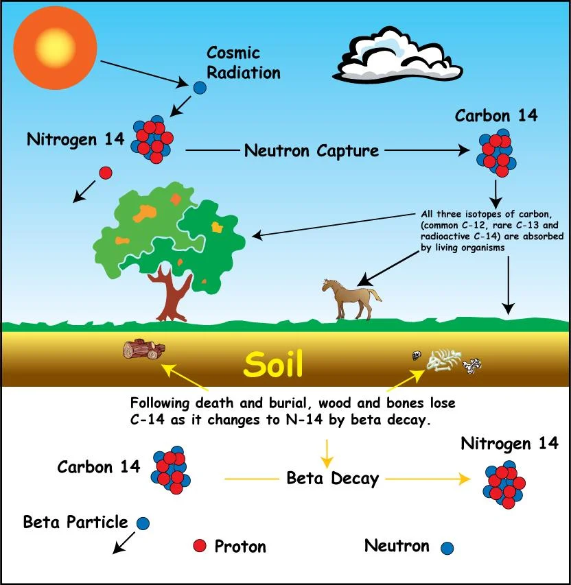 radiocarbon_sub1.jpg