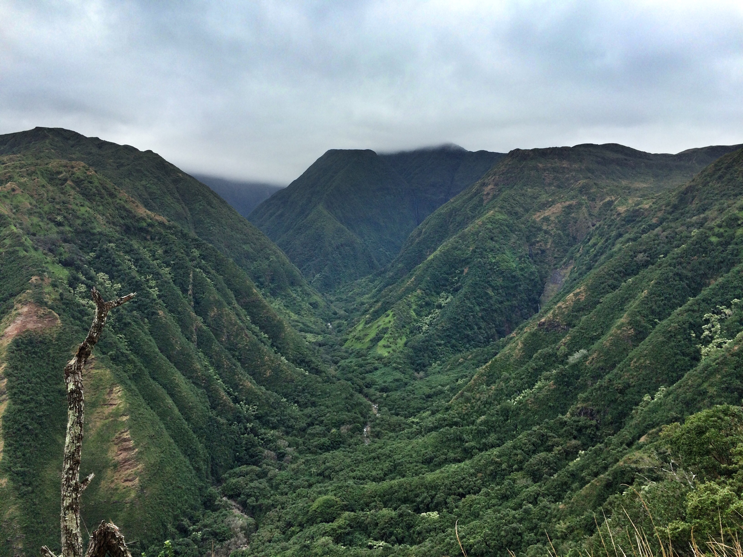 views from the waikamoi ridge 