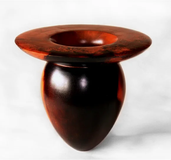 Terra Sigillata Form 2007