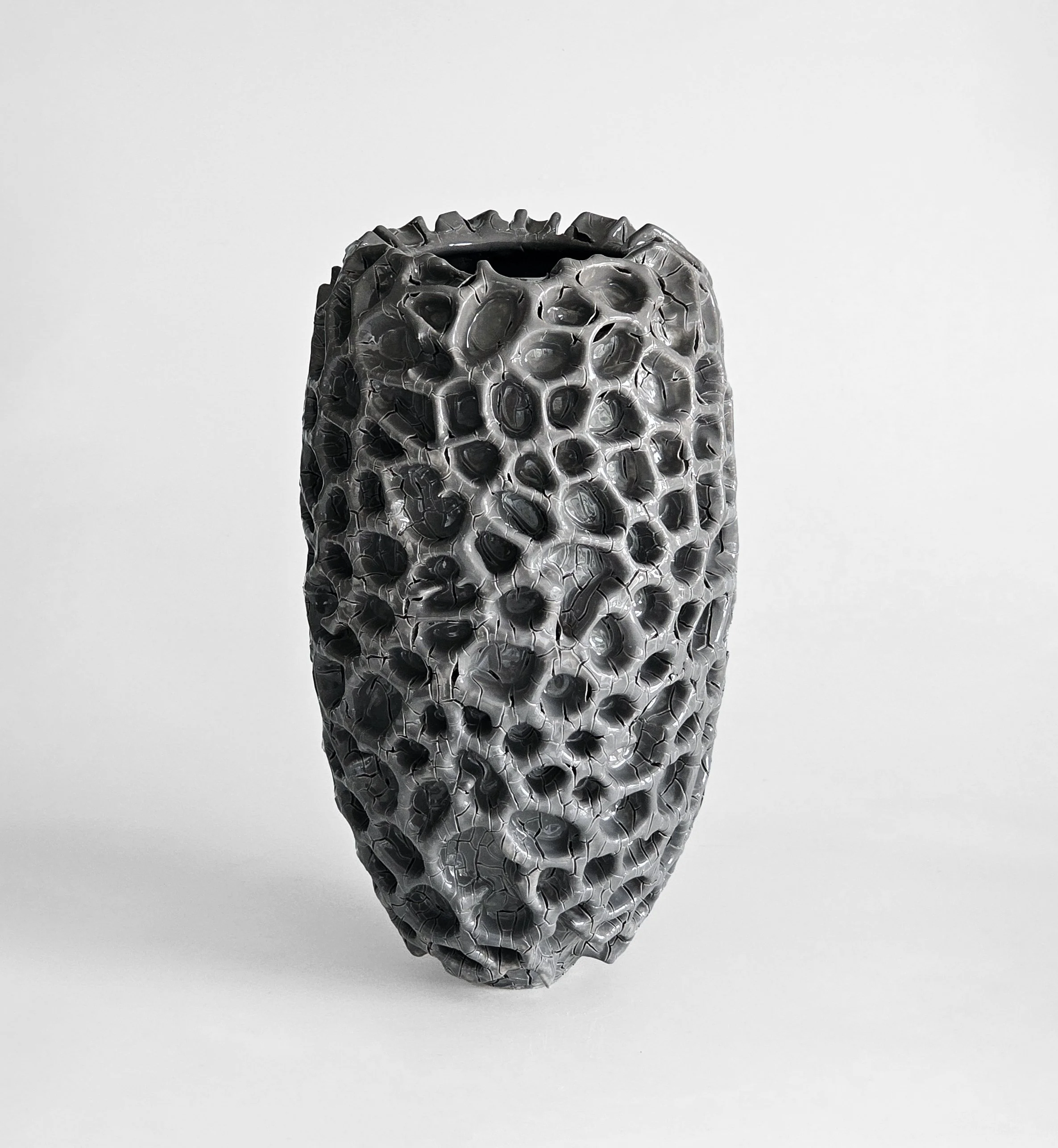  Grey Coral Vessel 