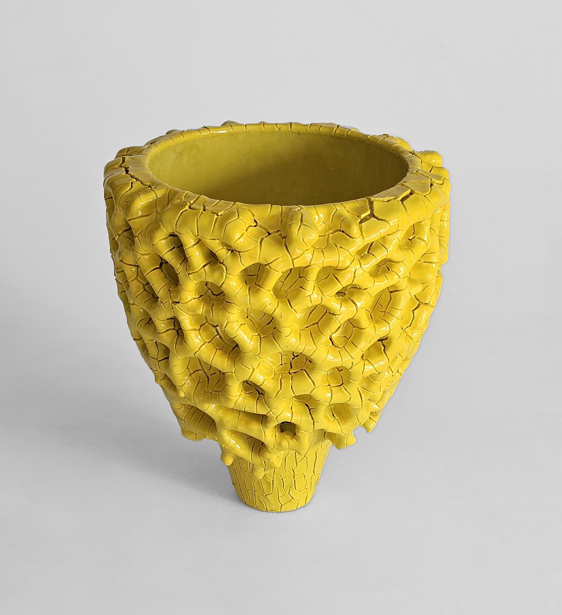  Lemon Coral Bowl 2025 