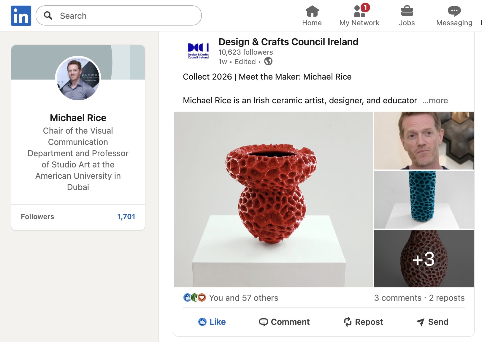  Collect Press for the Design and Crafts Council of Ireland  