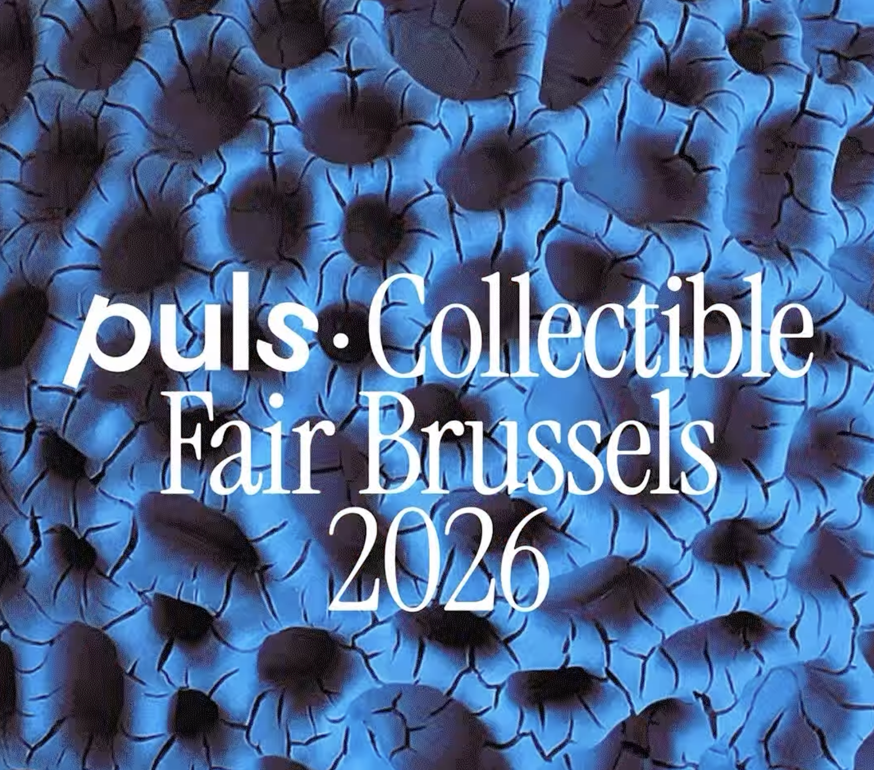  Puls Gallery for Collectable Fair Brussels  