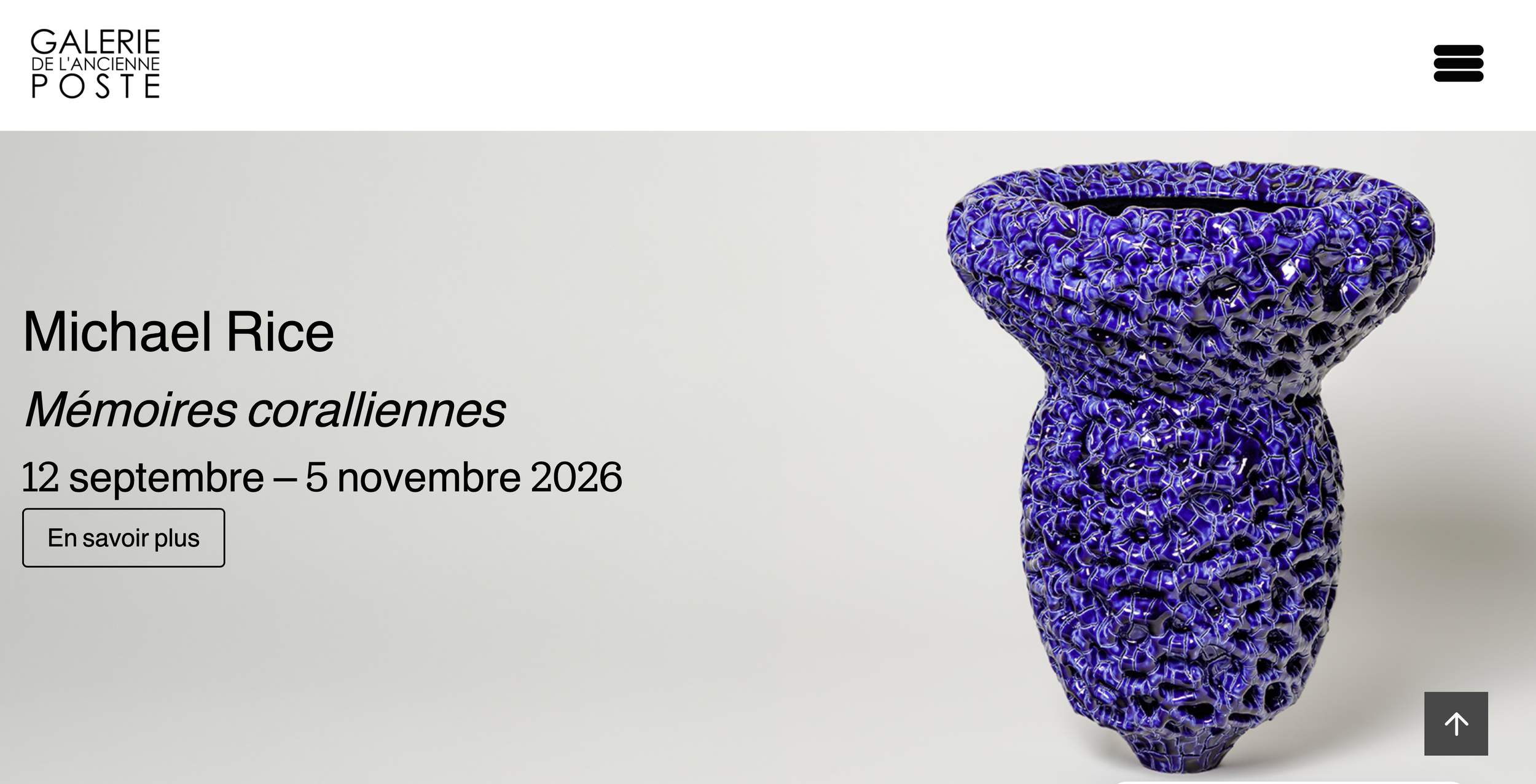  My latest Solo show opened in the  Galerie de l’Ancienne Poste  in Toucy, France on the 12 of September !   https://galerie-ancienne-poste.com/en/  