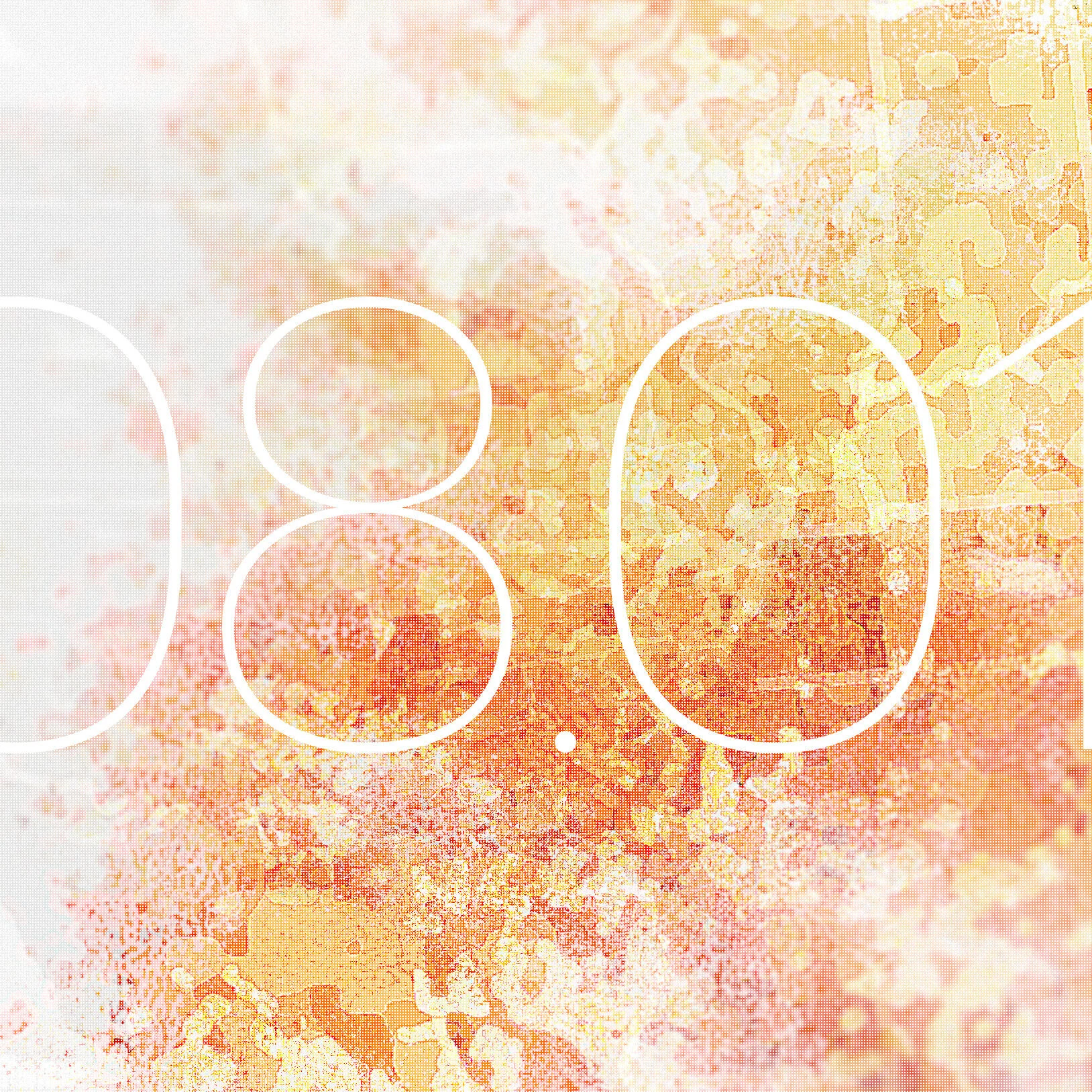 Tony Tharae  |  Post 1