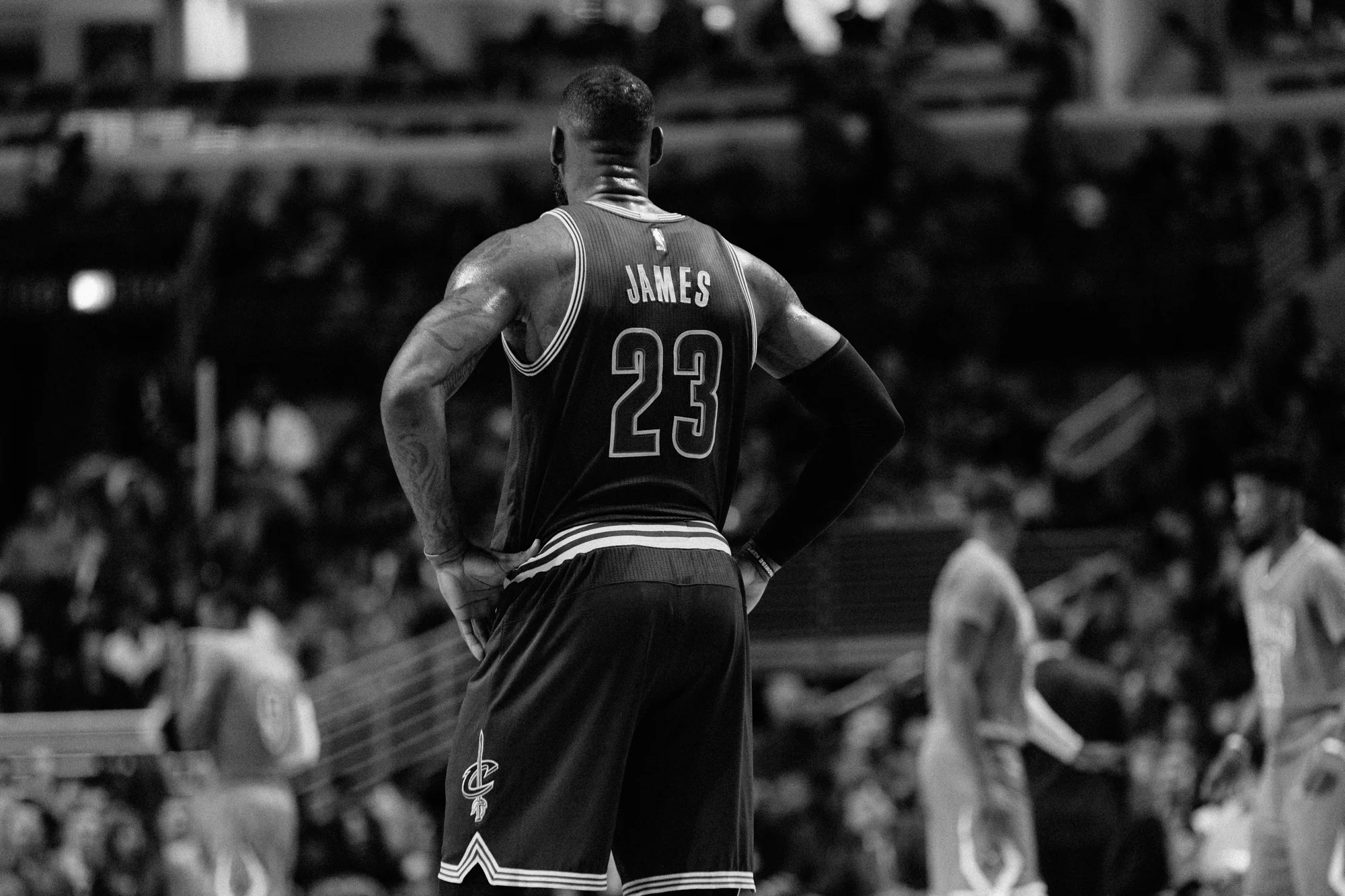 bullscavs-11.jpg