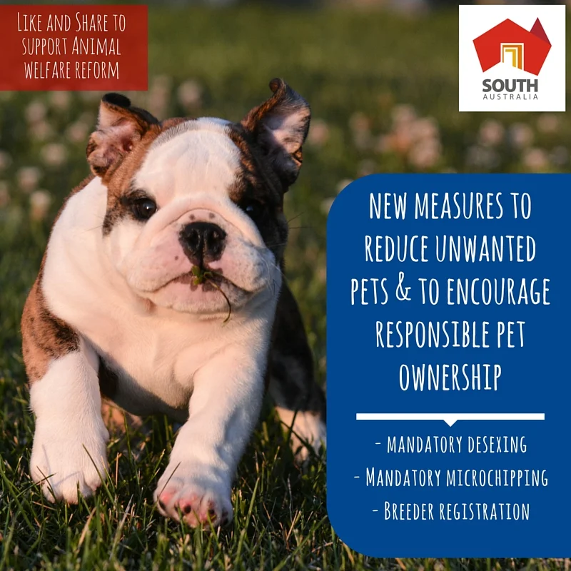 Governement responds to Citizens' Jury on Dogs and Cats