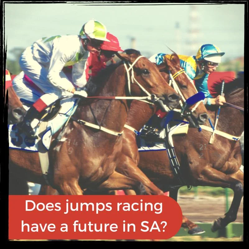 Jumps Racing: Select Committiee formed