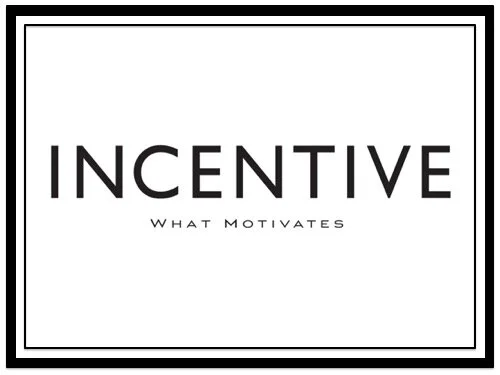 Platinum Partners Award (2013)