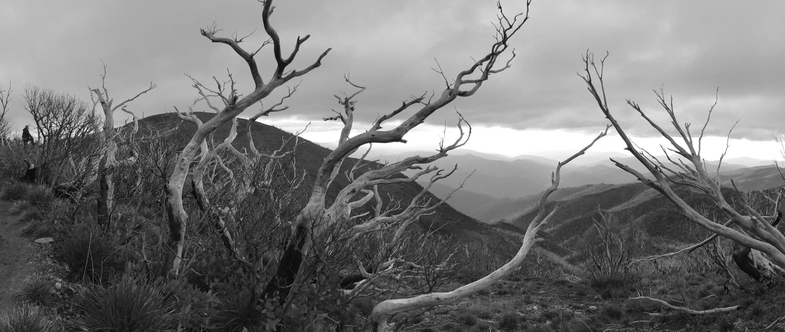 Mt Feathertop 