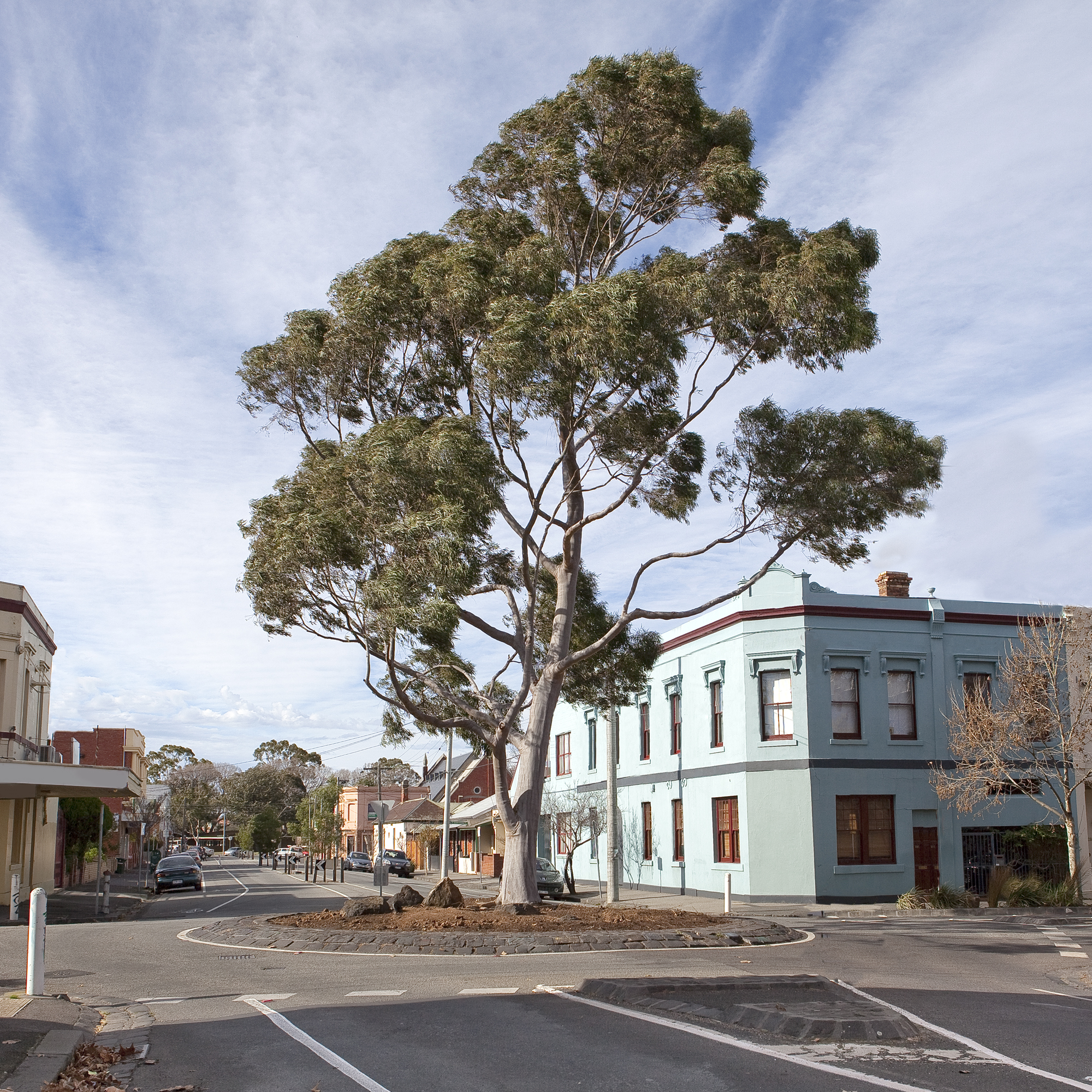 North Fitzroy