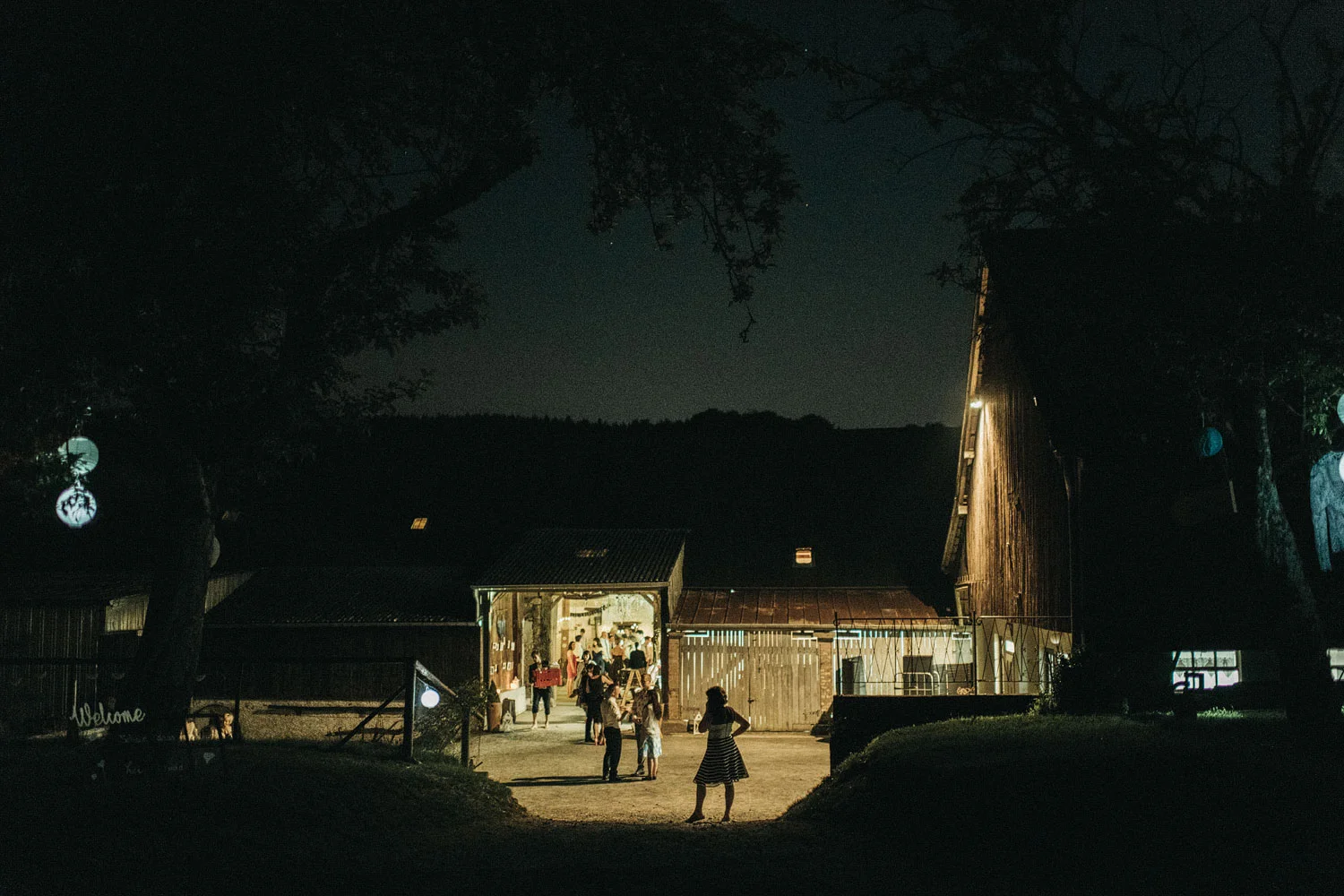 doyv_1393.jpg