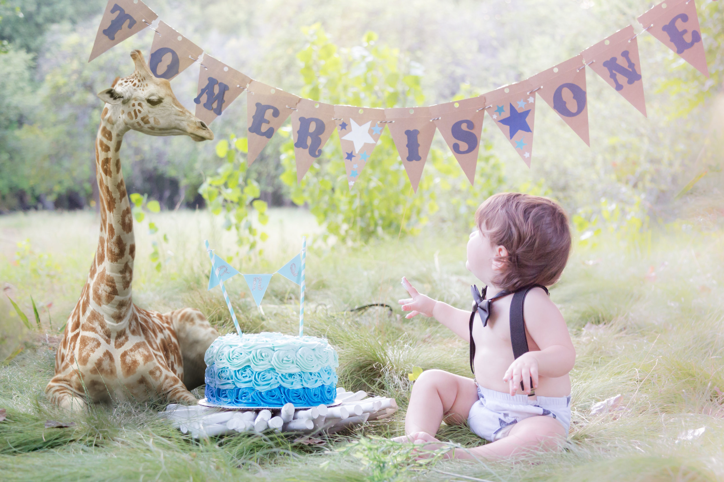 Giraffe-TomerSmashCakeCollection-46.jpg