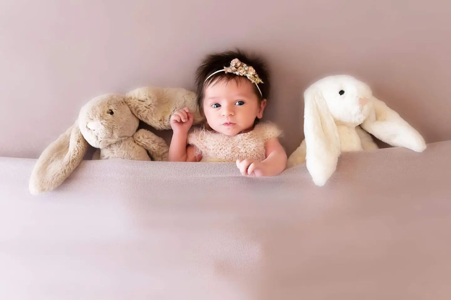 Little Mia with the most aahhhmazing hair and precious shoot. 💜 one of my favorite sessions with @shadilibrush 💫
.

#newbornphotography #newbeginnings #newborn #babyphotography  #babiesofinstagram #laphotographer