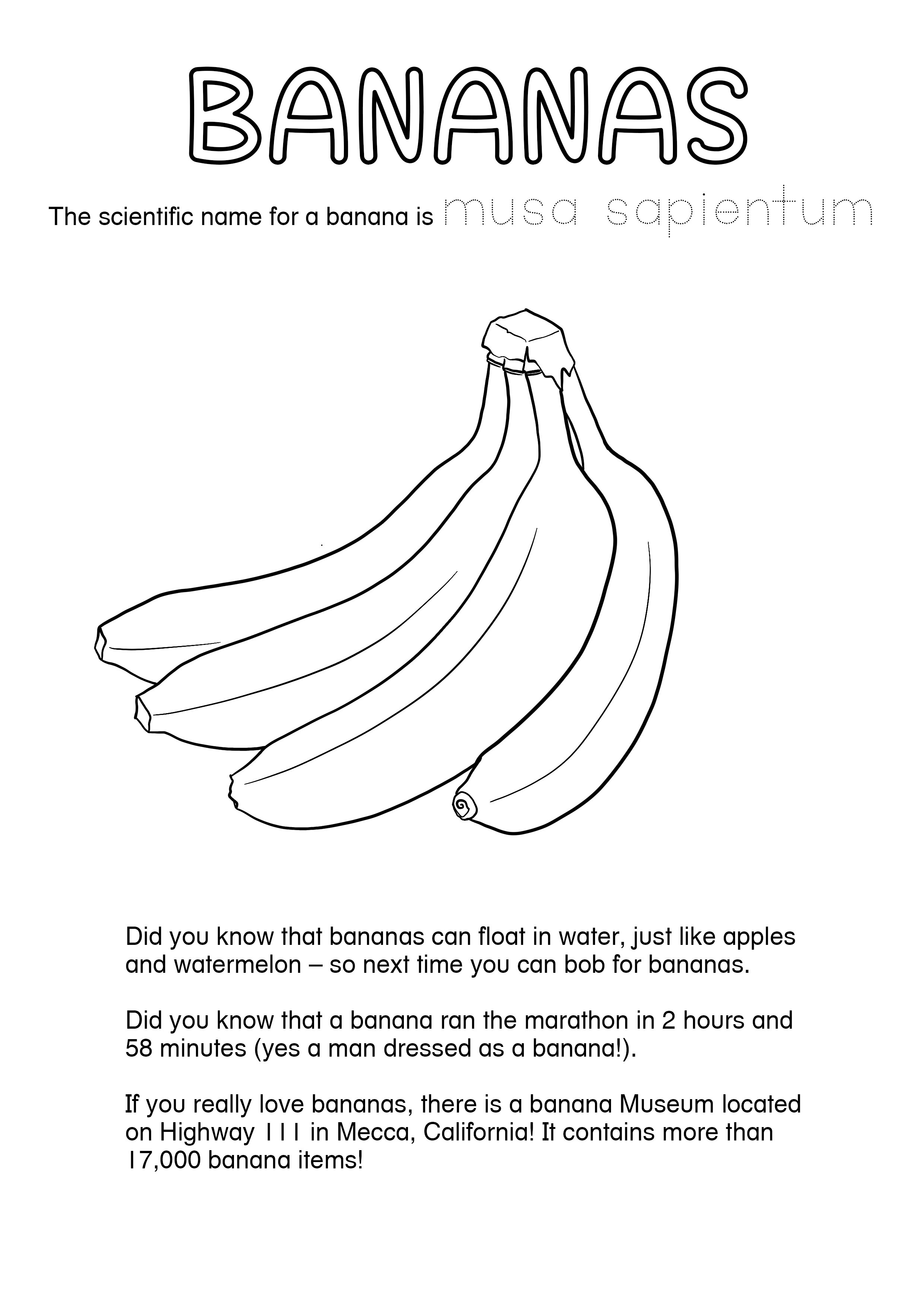 Banana03.jpg