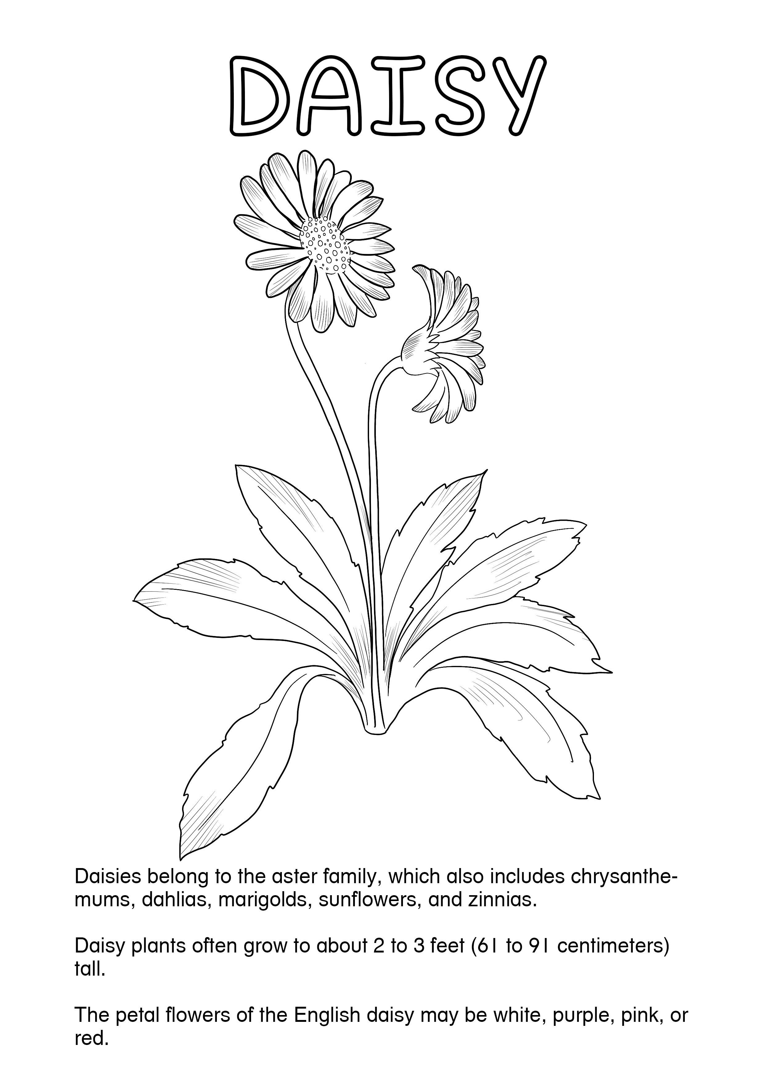 Garden Shortbread Page5.jpg