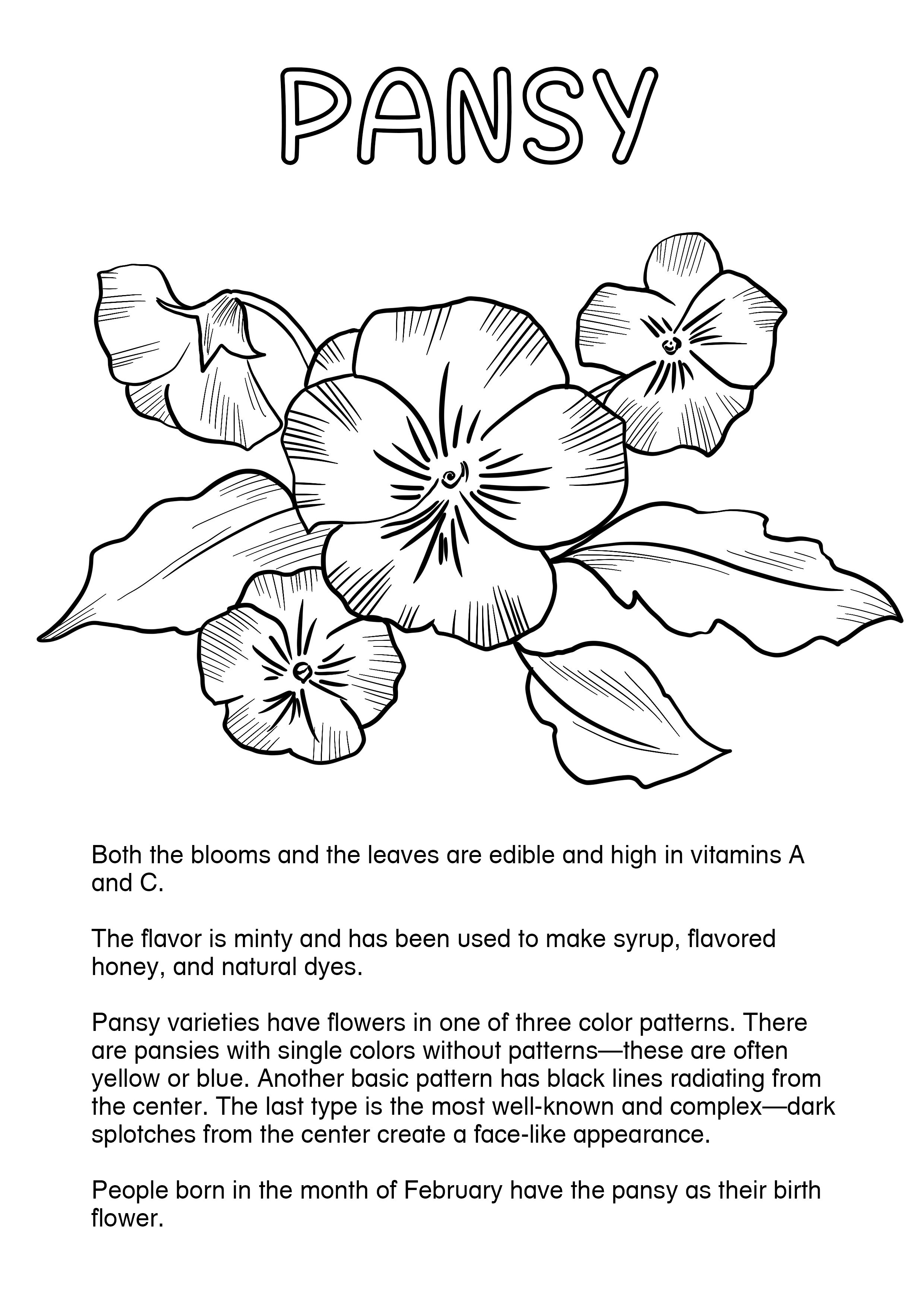 Garden Shortbread Page6.jpg