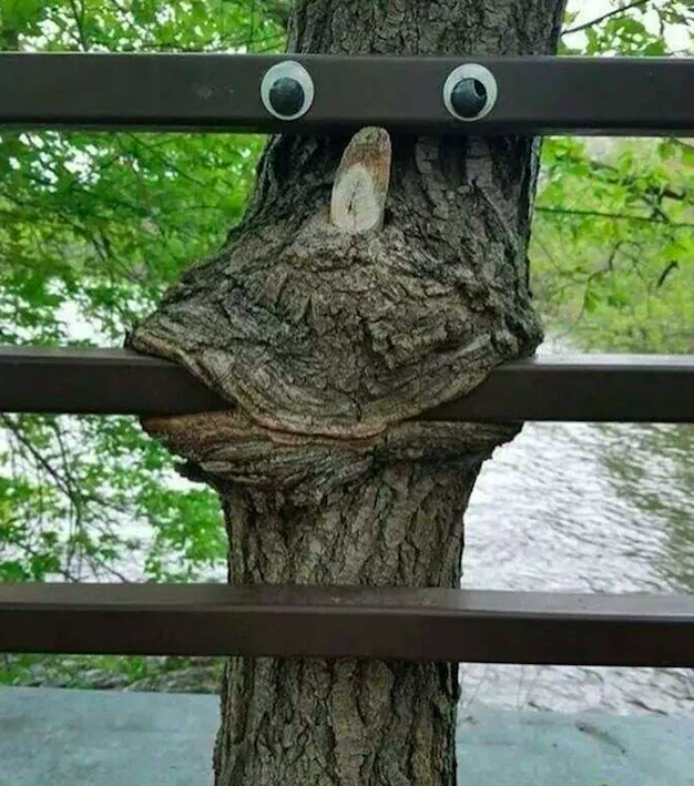 Screen Shot 2018-10-12 at 15.28.37.png