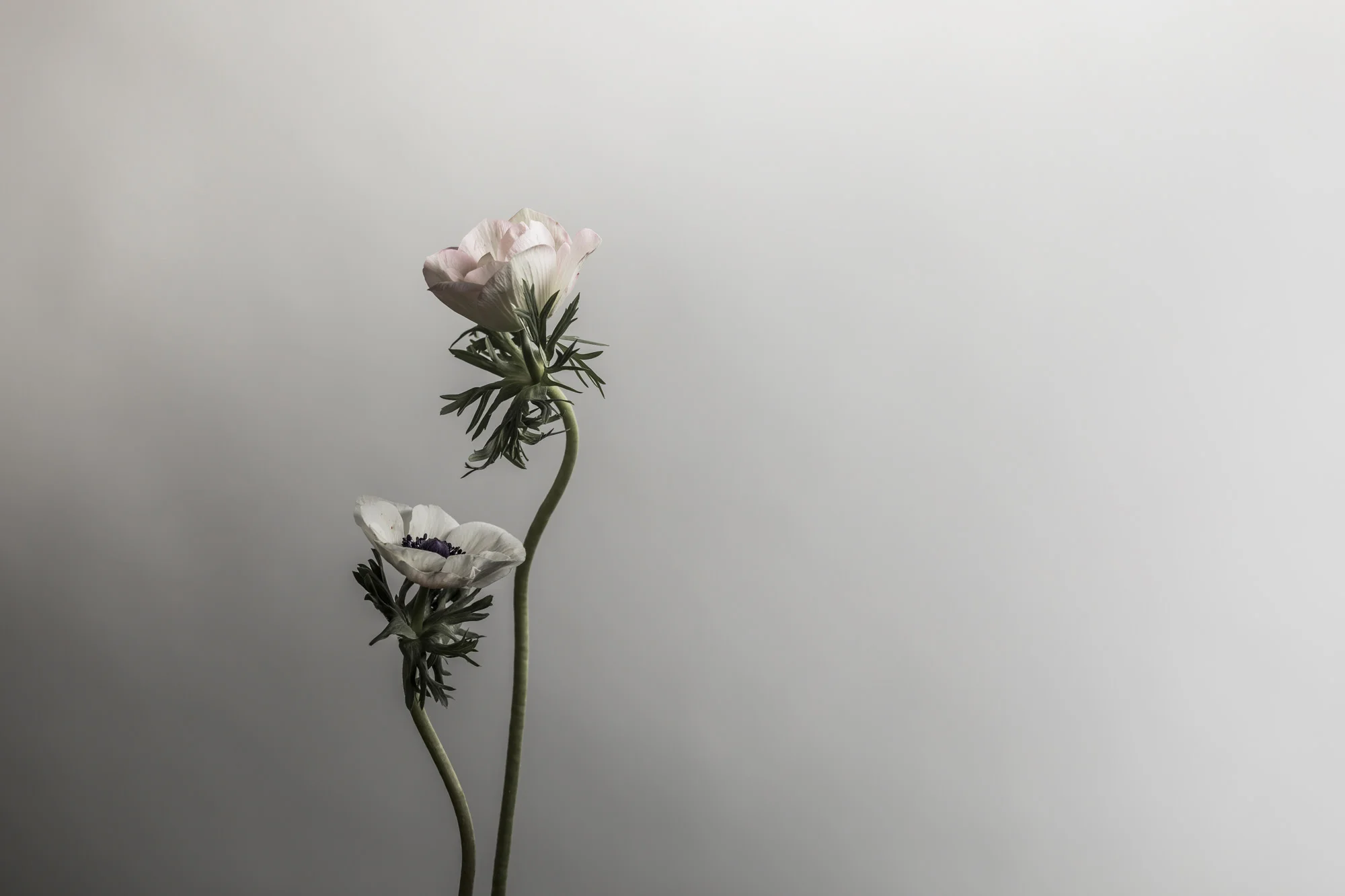 sl_005.jpg