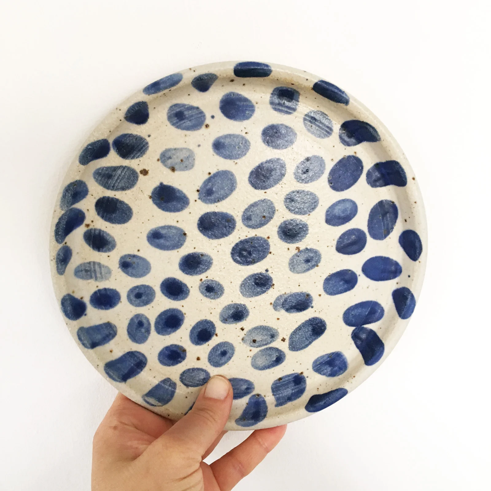 blue dotted Polli Pots plate 2.jpg