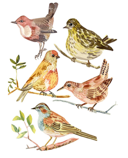 Screen Shot 2019-06-07 at 08.17.29.png