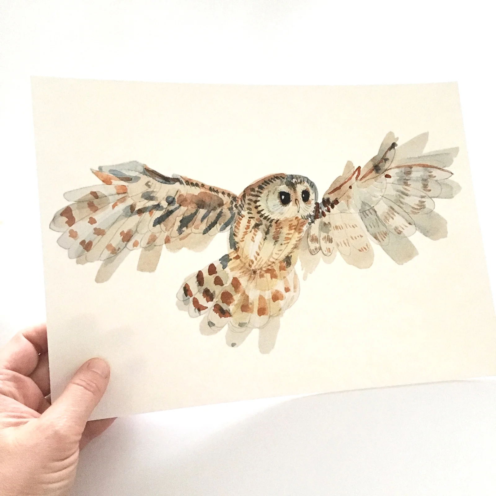 owl art print 2.jpg