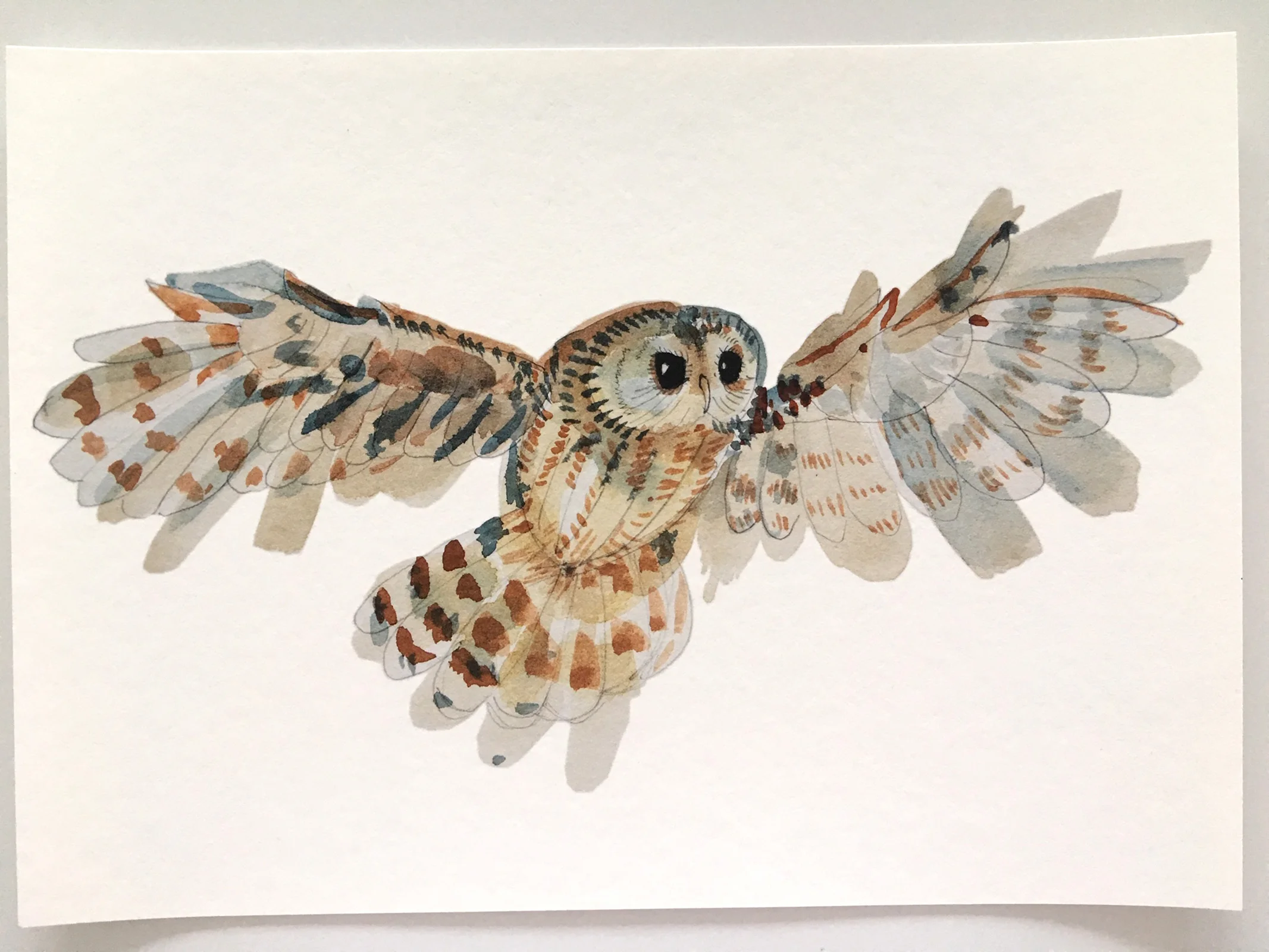 owl art print 1.jpg