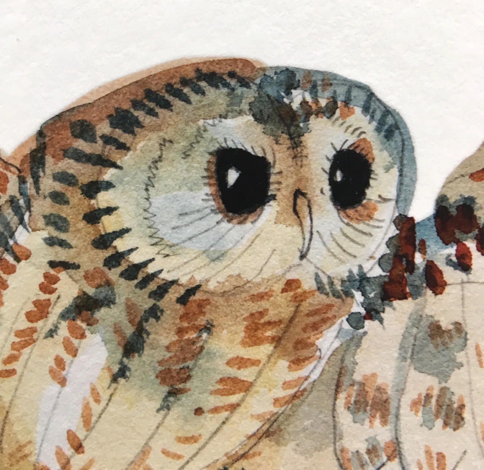 owl art print 3.jpg