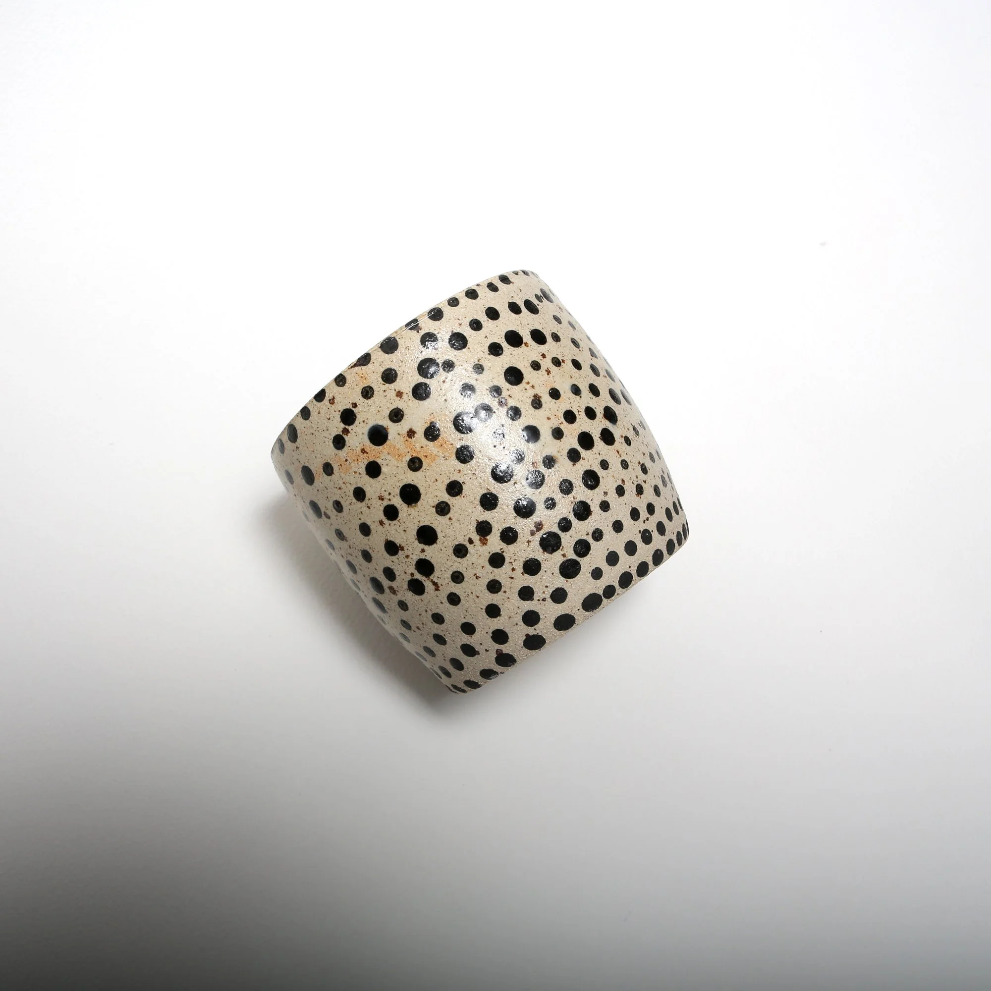 black polka dot planter 3.jpg