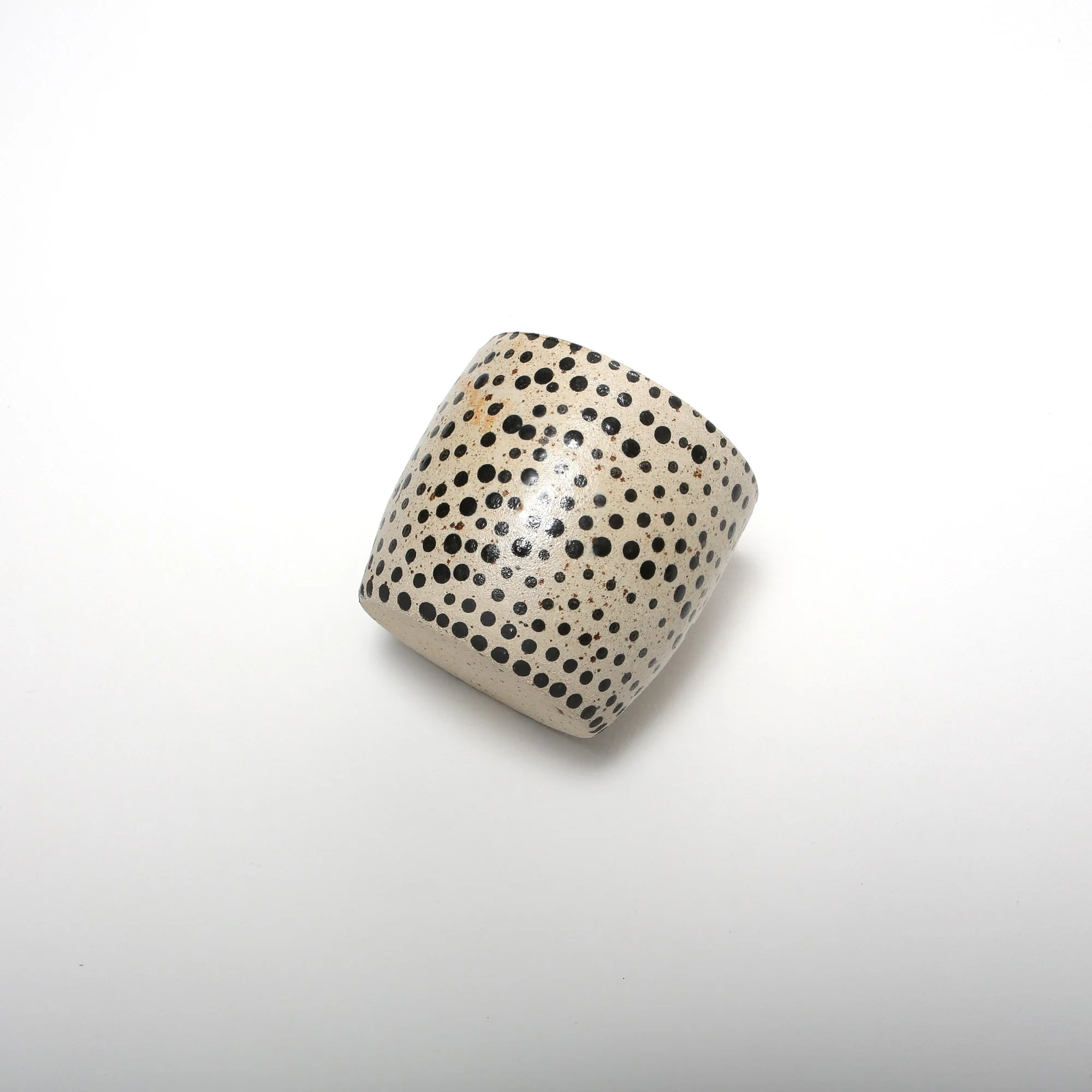 black polka dot planter 8.jpg